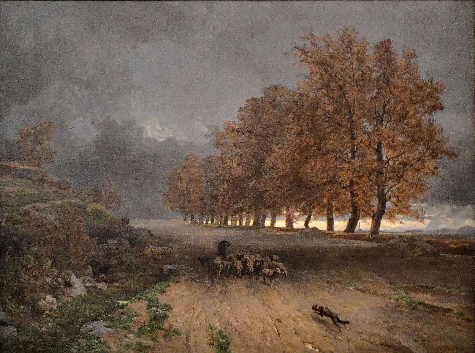 Musée des Beaux-Arts