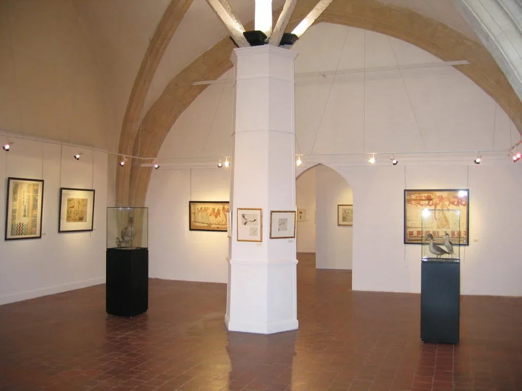 Museum of Fine Arts