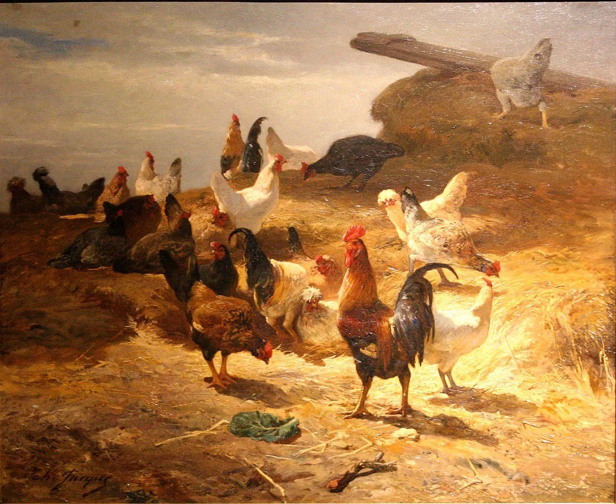 Musée des Beaux-Arts