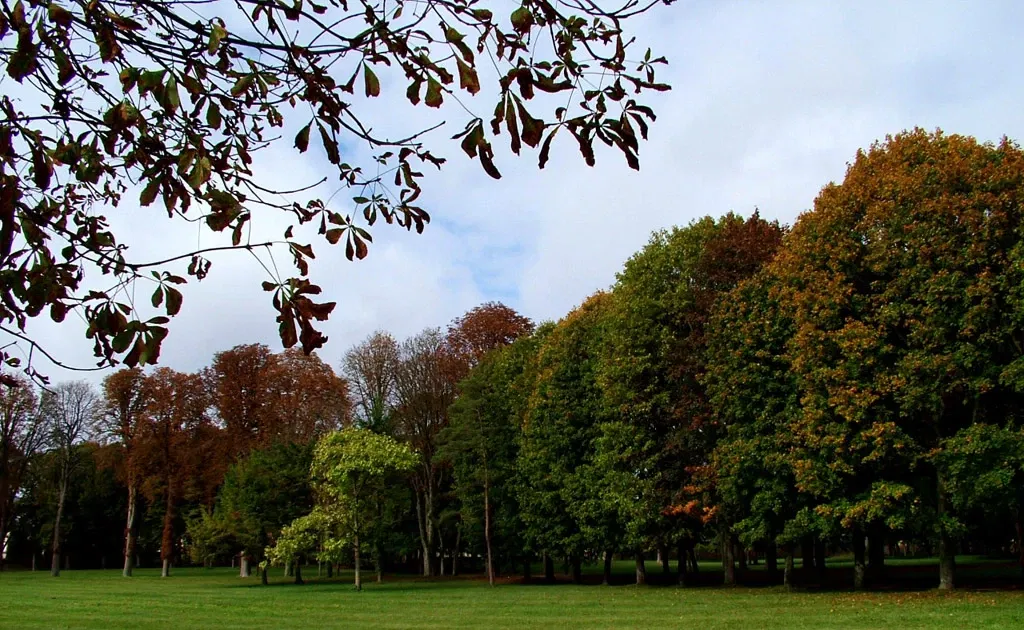 Castello di Fontainebleau