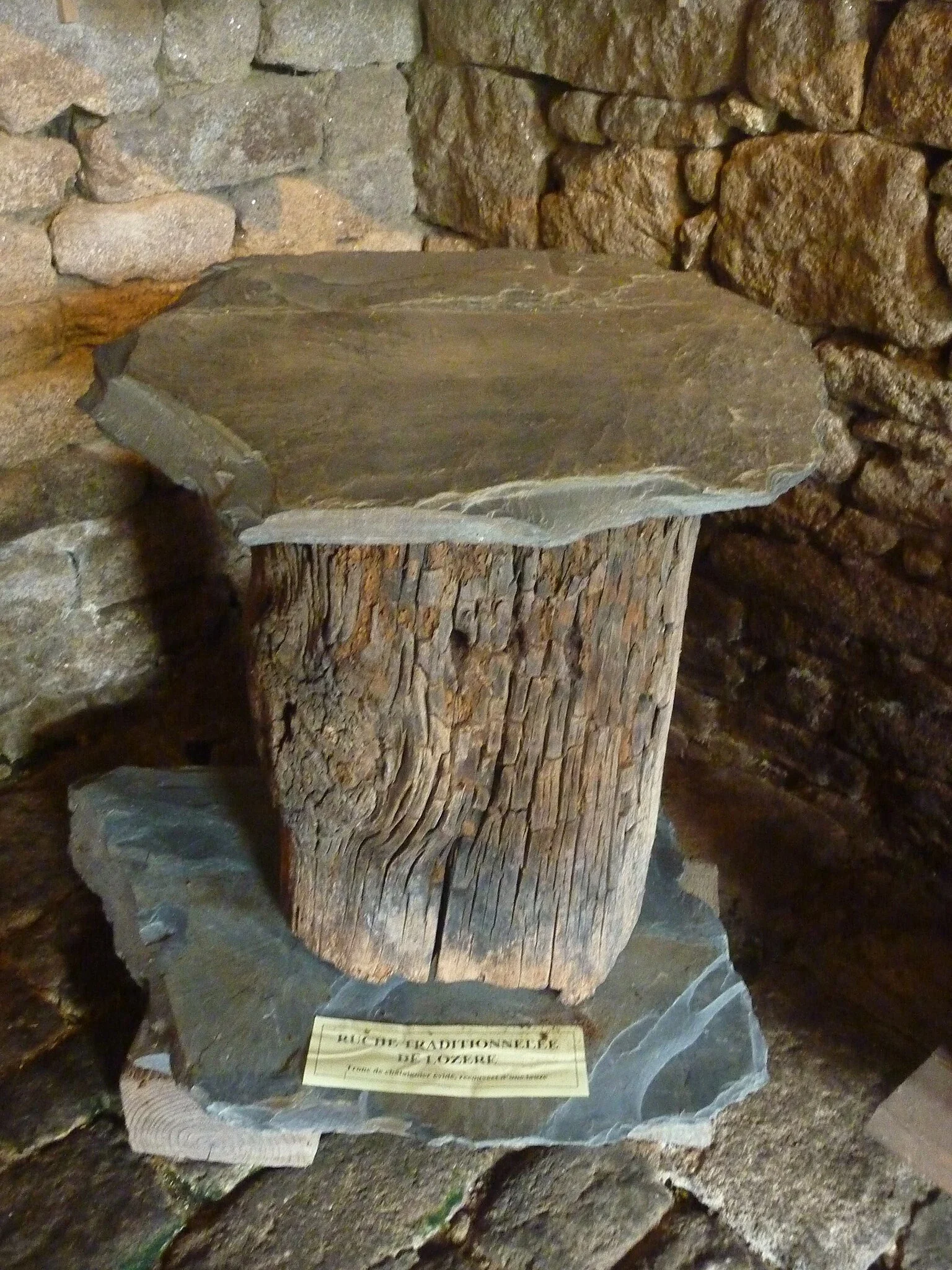Musée de l'Abeille Vivante et Cité des Fourmis