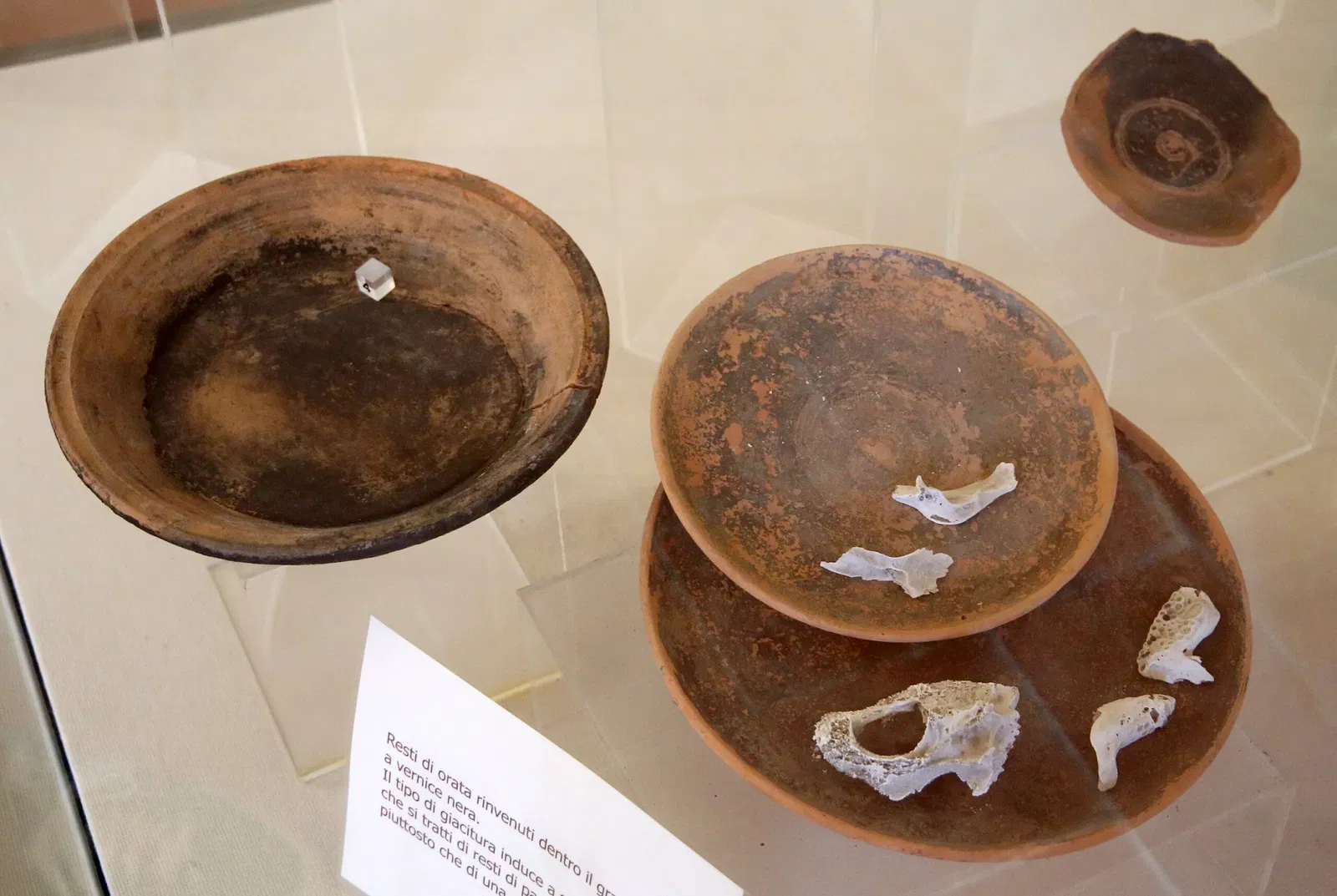 Museo Civico Archeologico della Linguella