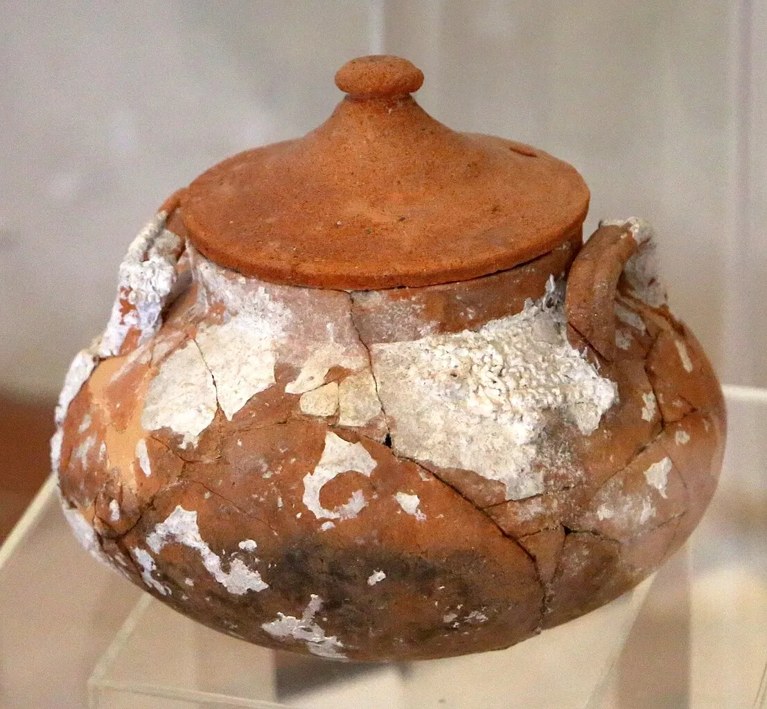 Museo Civico Archeologico della Linguella