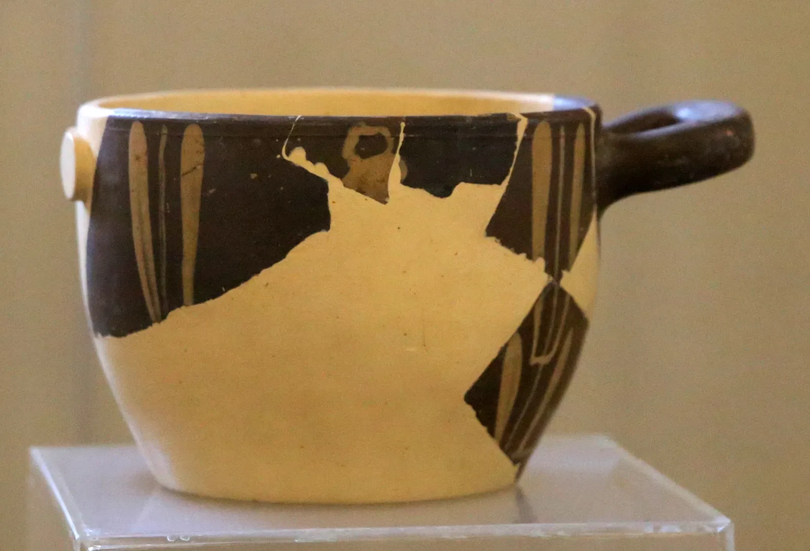 Museo Civico Archeologico della Linguella