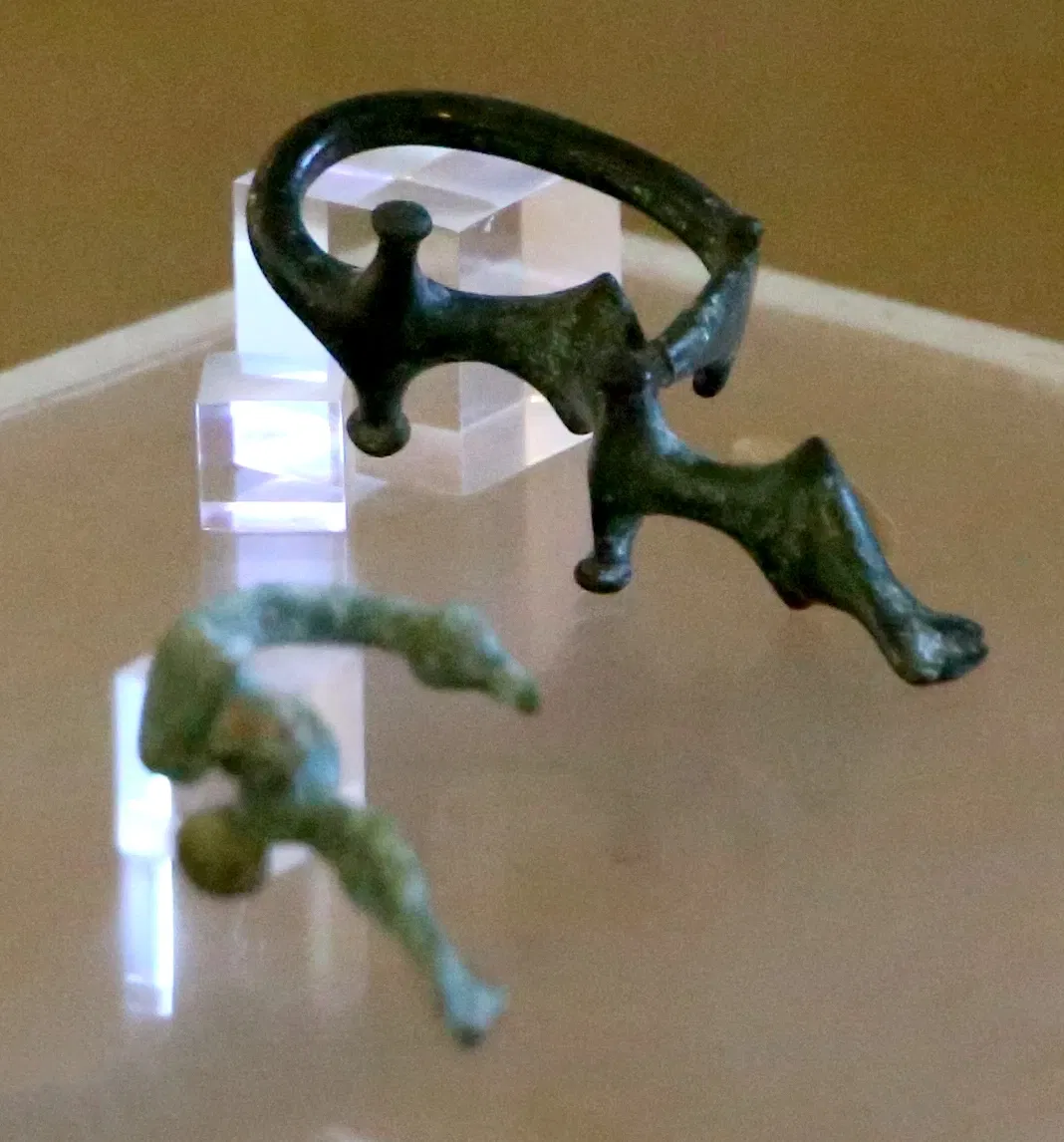 Museo Civico Archeologico della Linguella