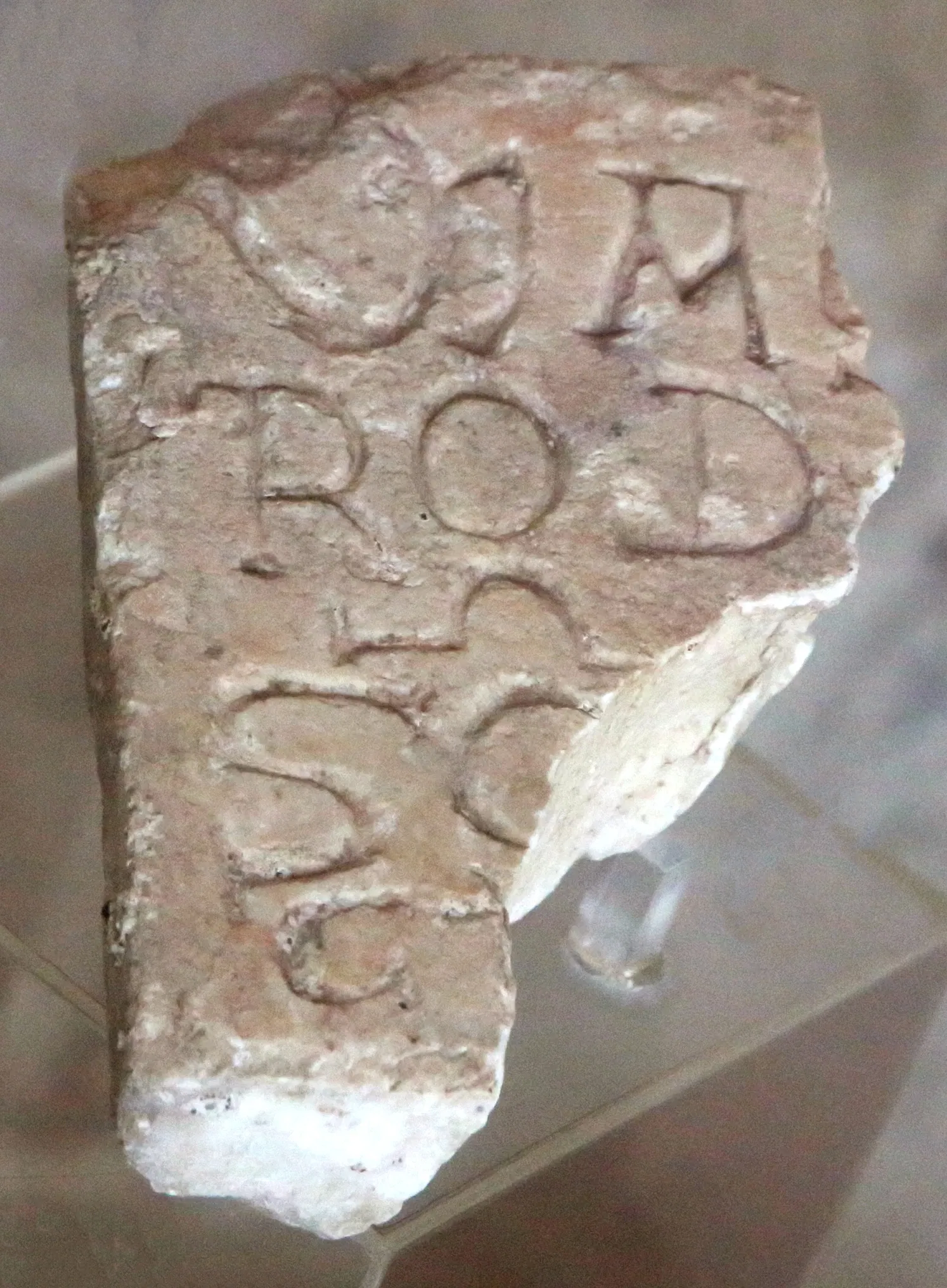 Museo Civico Archeologico della Linguella