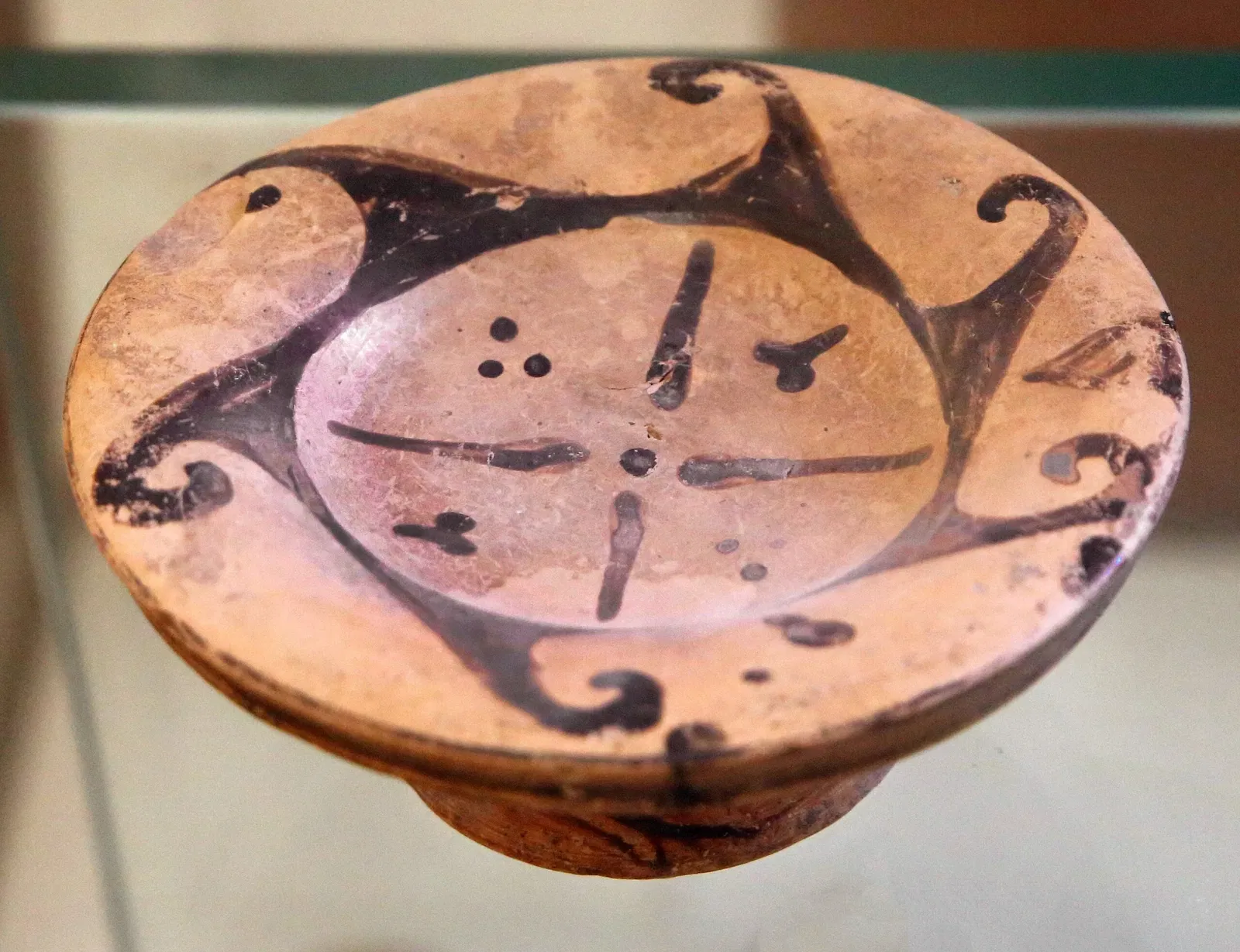 Musée archéologique civique (Portoferraio)