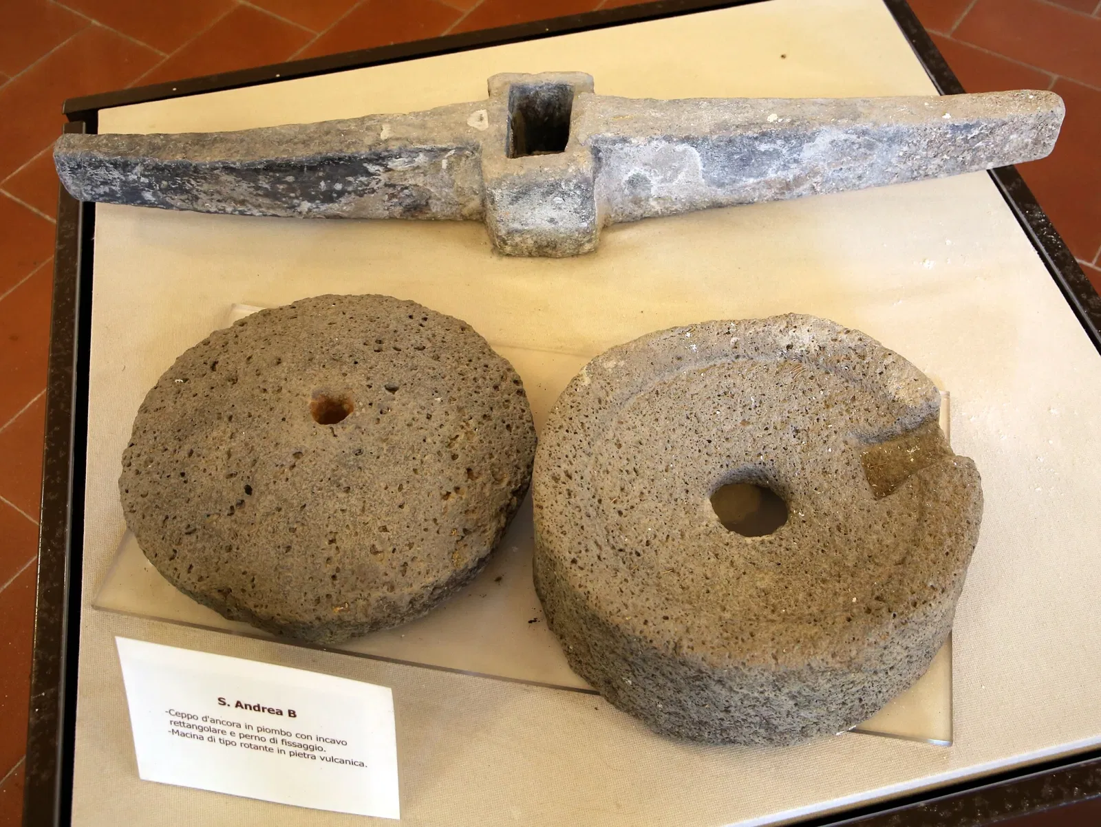 Museo Civico Archeologico della Linguella