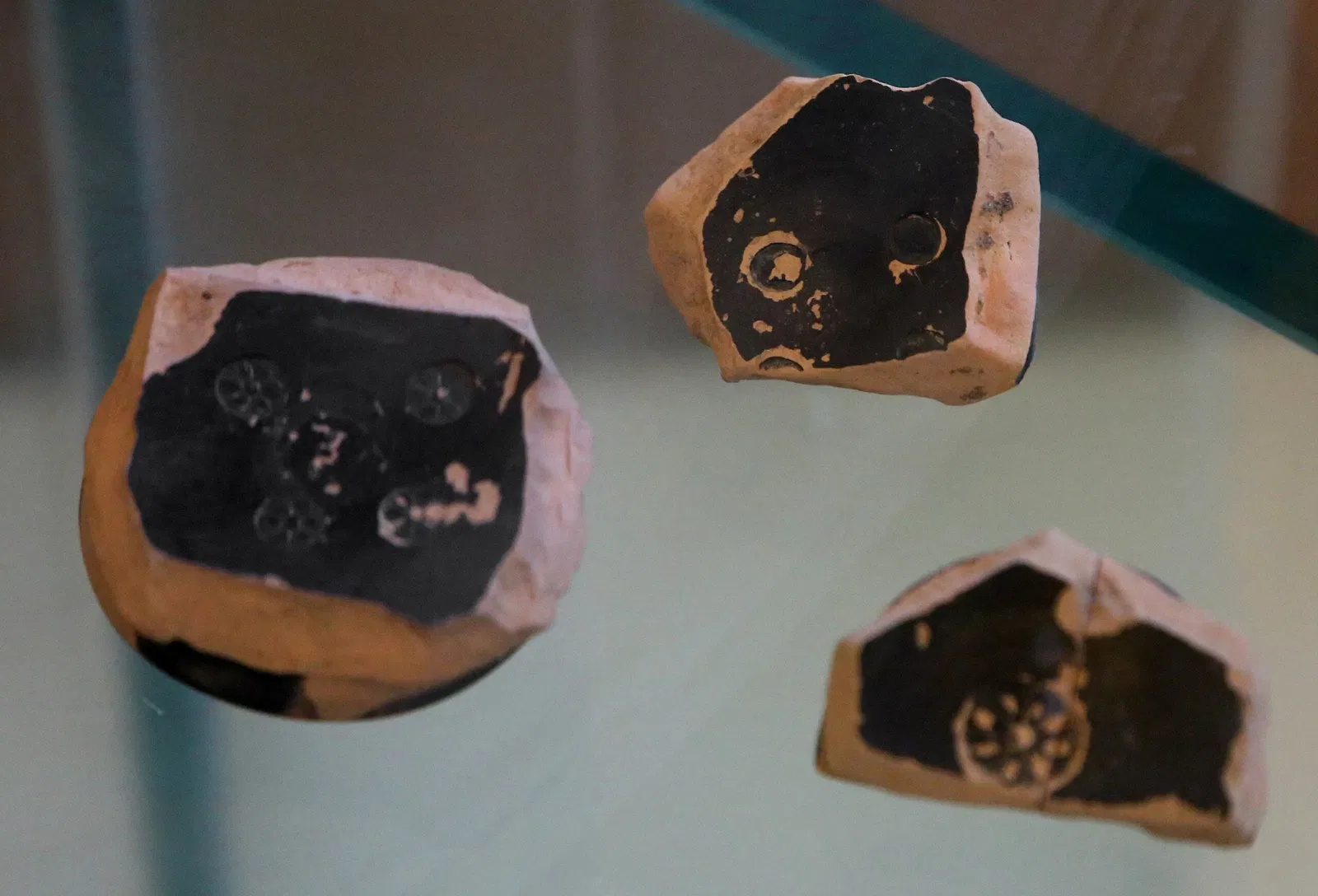 Museo Civico Archeologico della Linguella