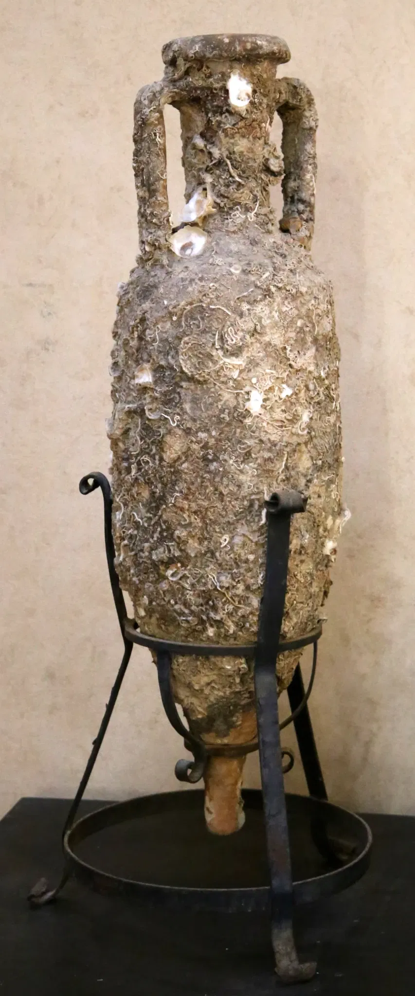 Museo Civico Archeologico della Linguella