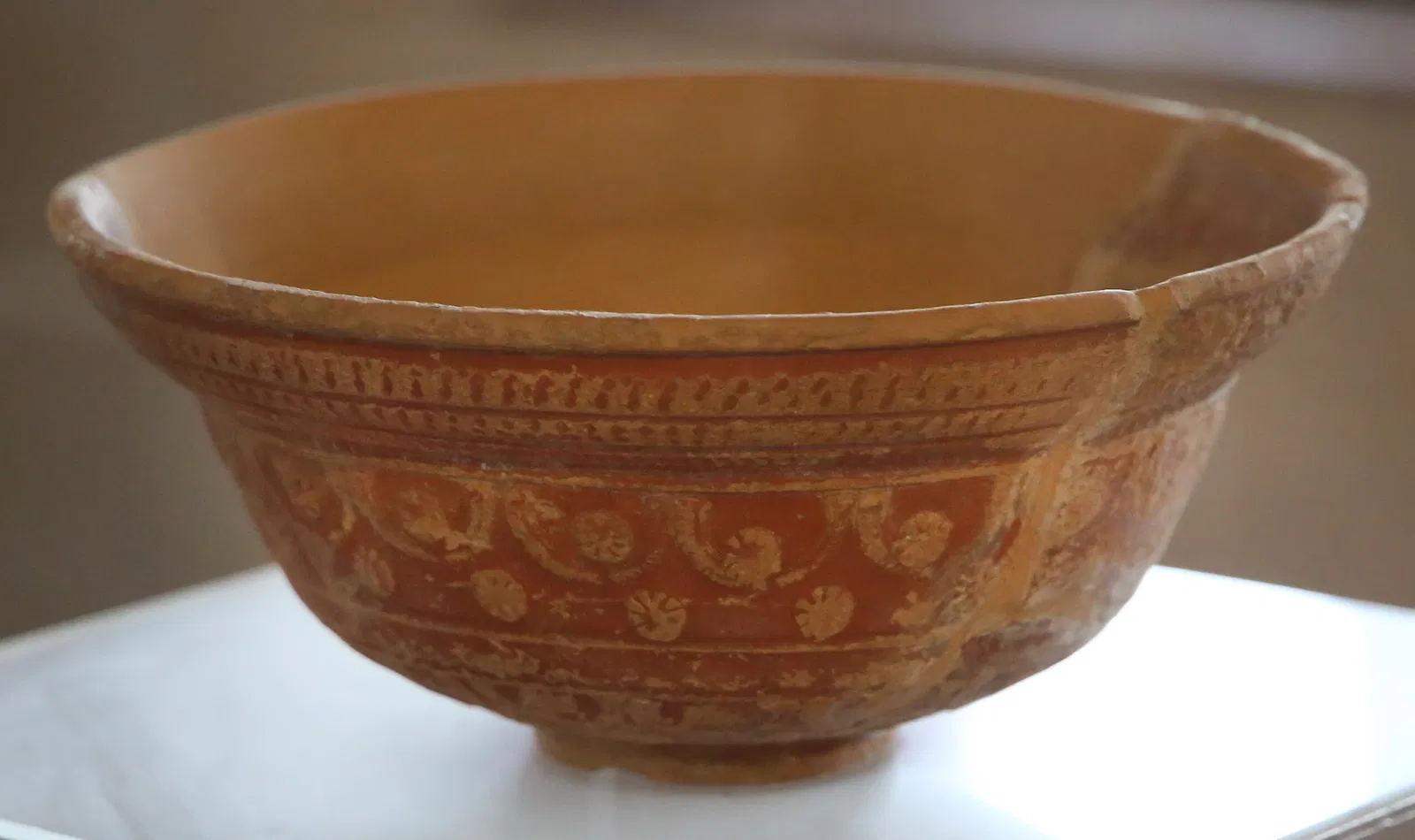 Museo Civico Archeologico della Linguella