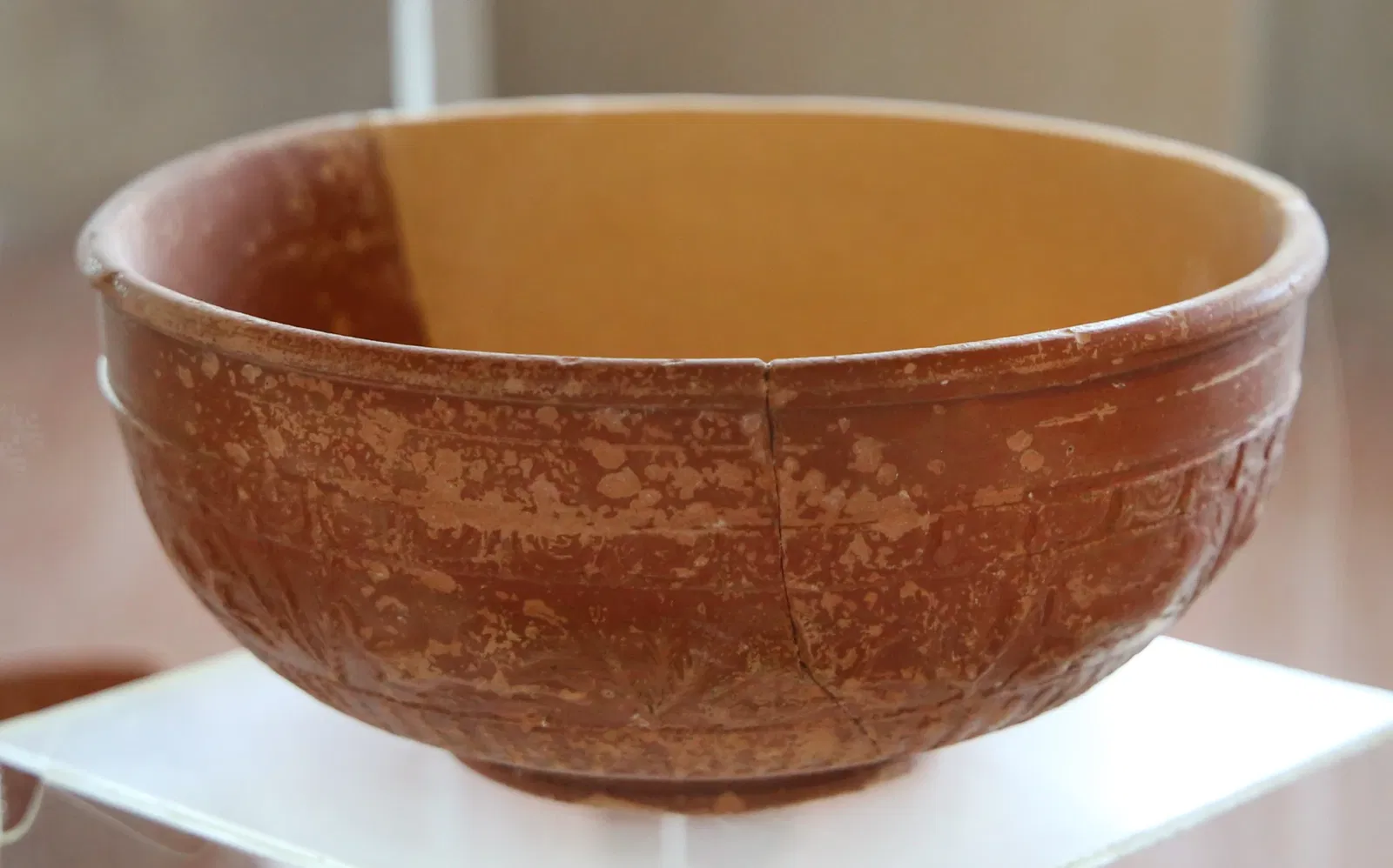 Museo Civico Archeologico della Linguella