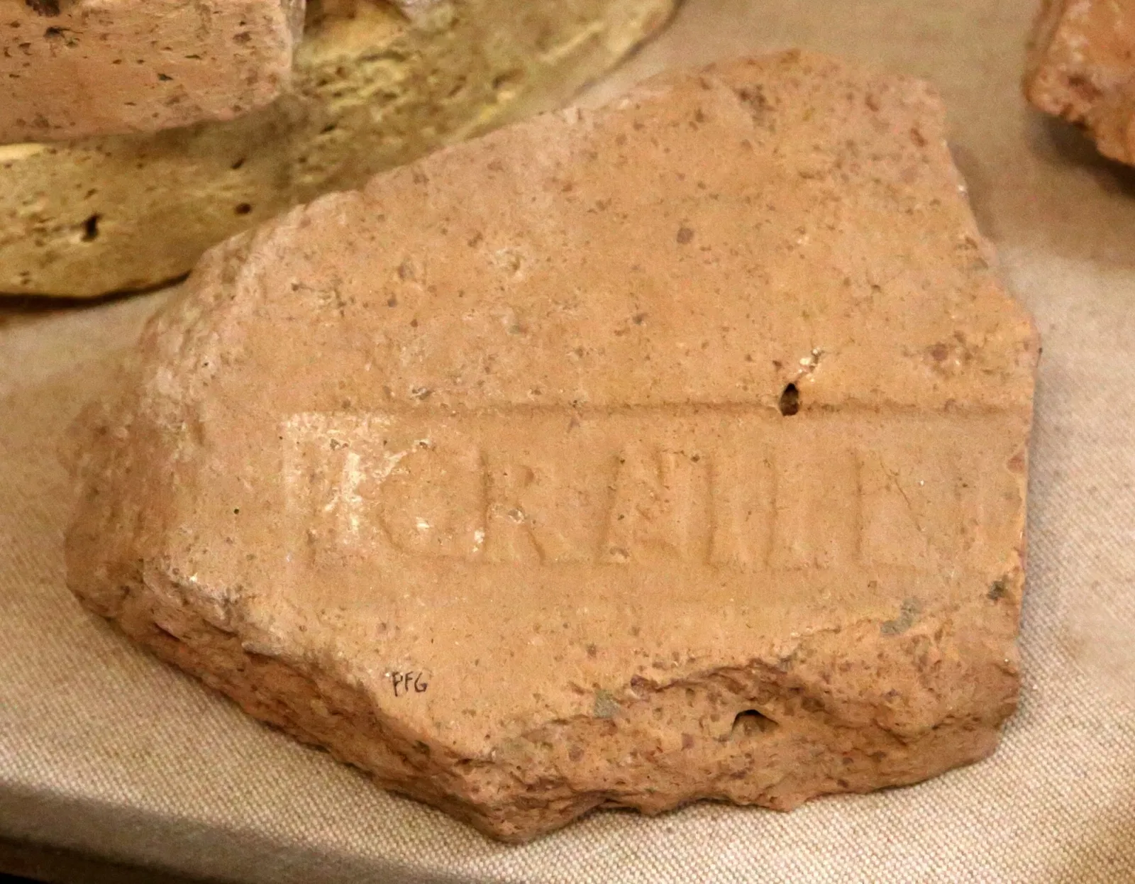 Museo Civico Archeologico della Linguella