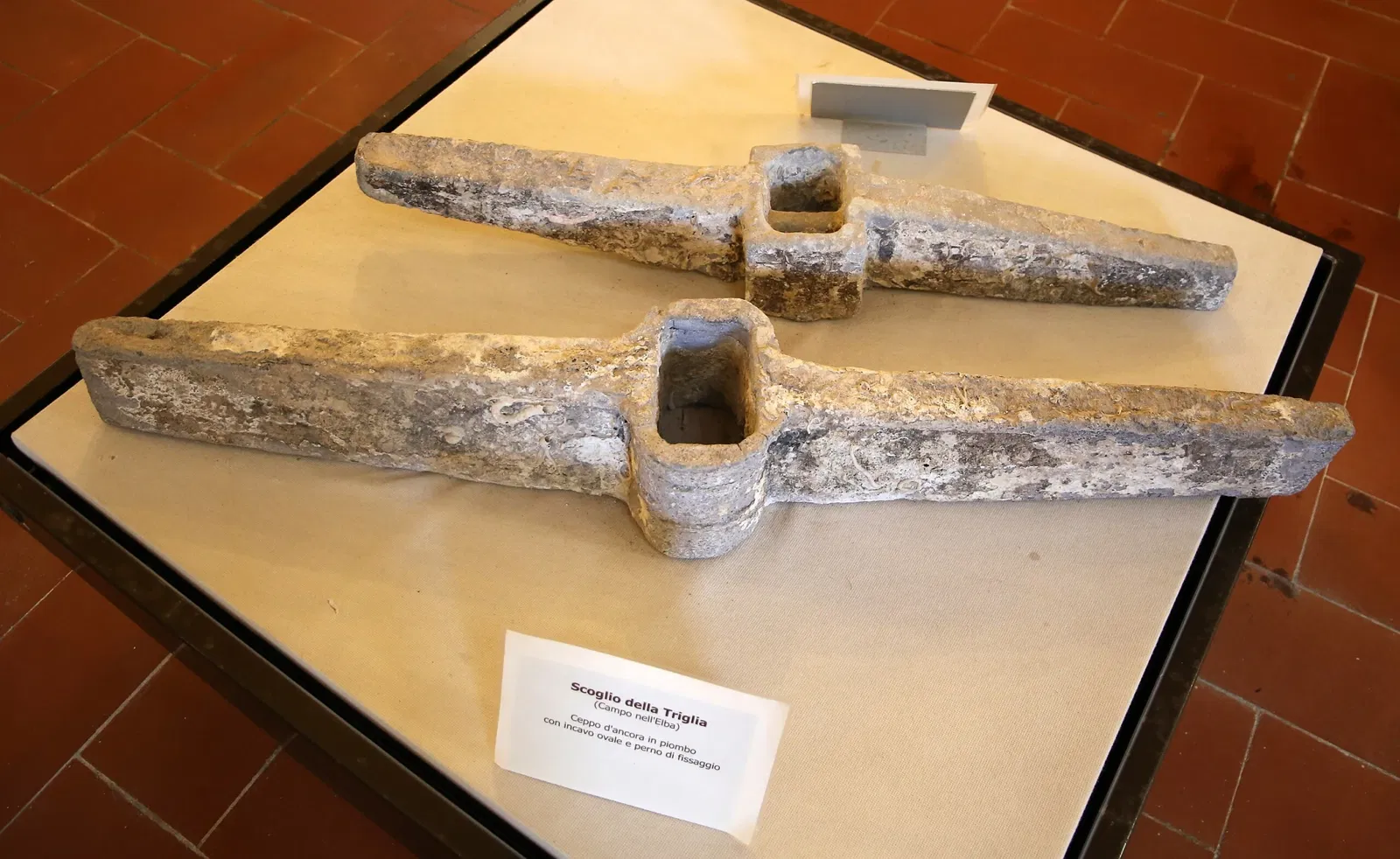 Museo Civico Archeologico della Linguella