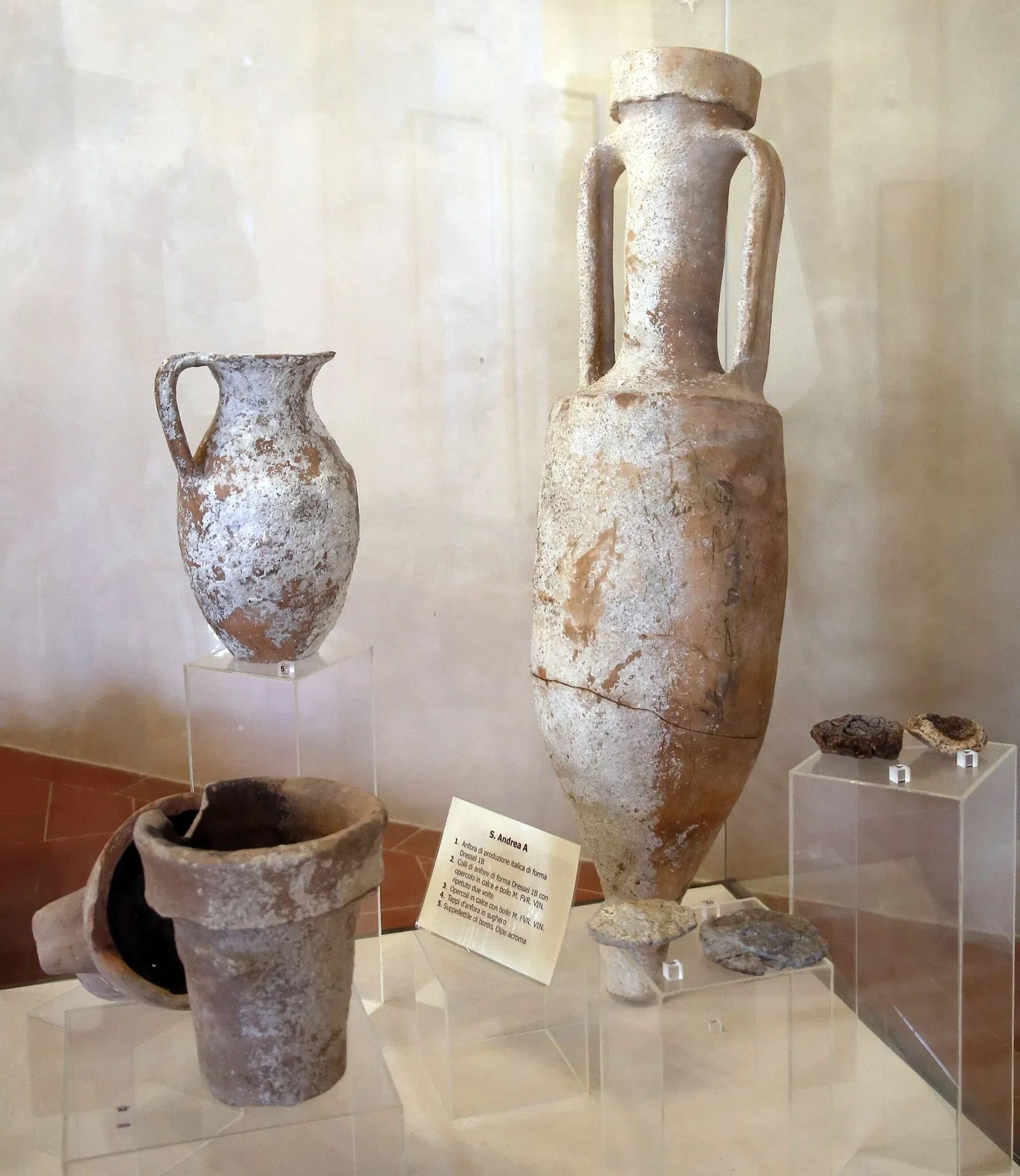 Museo Civico Archeologico della Linguella