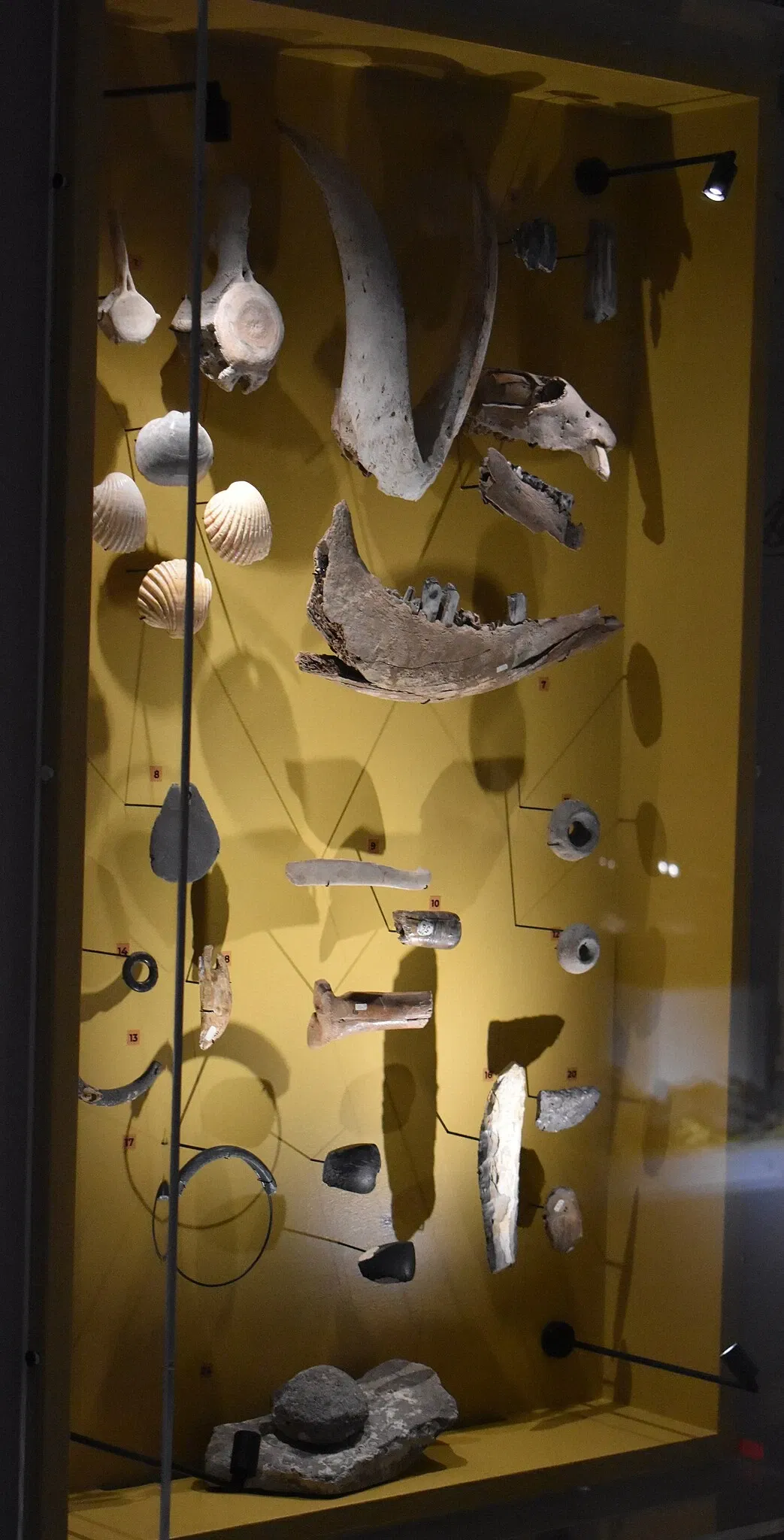 Musée de l'Éphèbe et d'Archéologie Sous-Marine