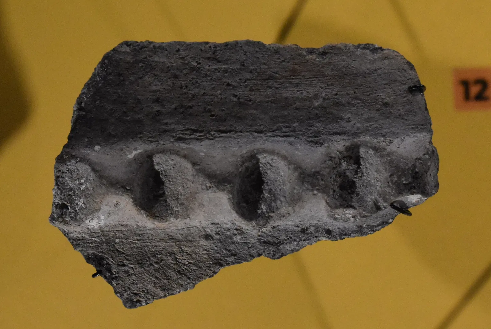 Ephèbe Museum and Underwater Archeology