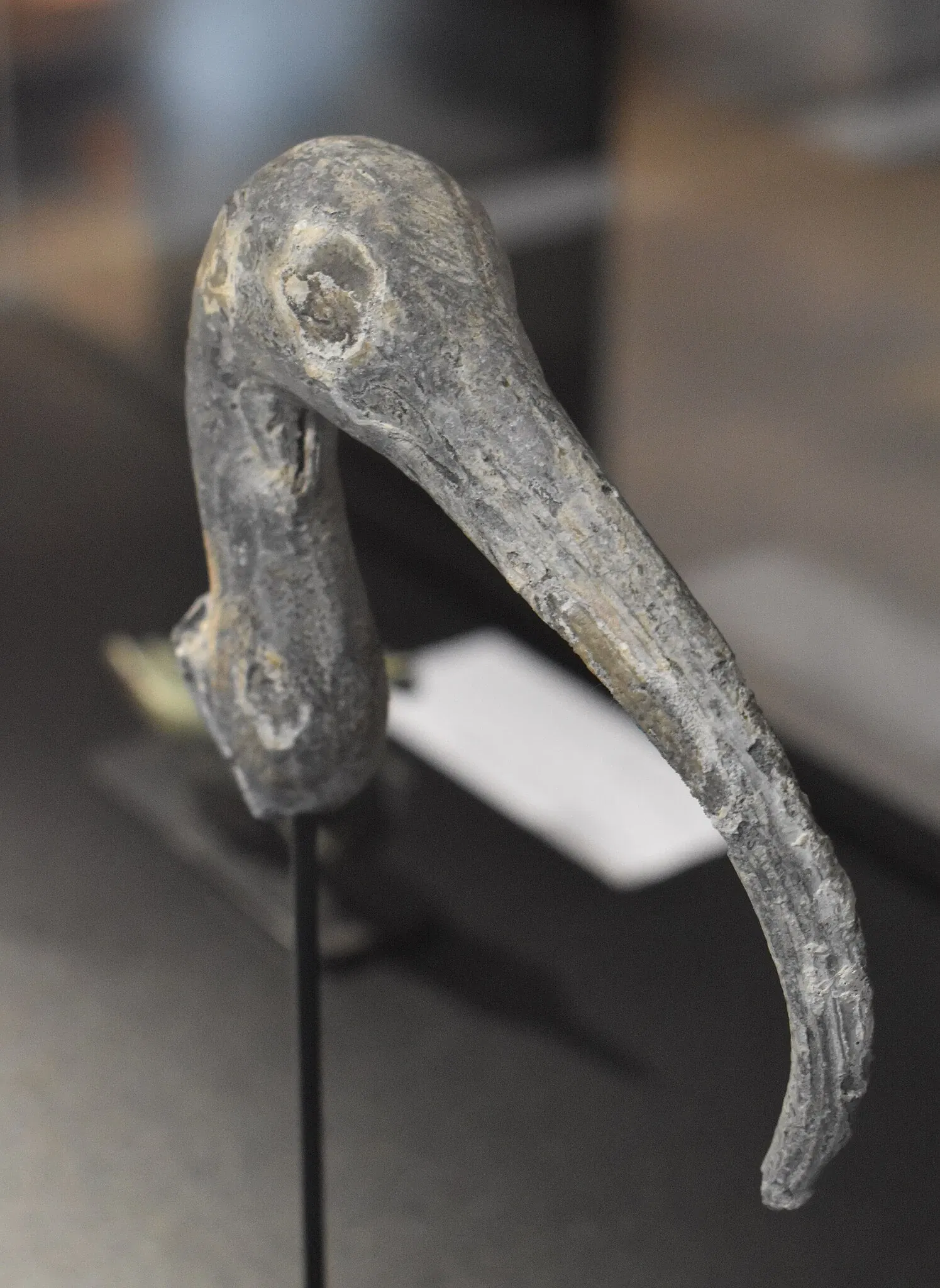 Ephèbe Museum and Underwater Archeology