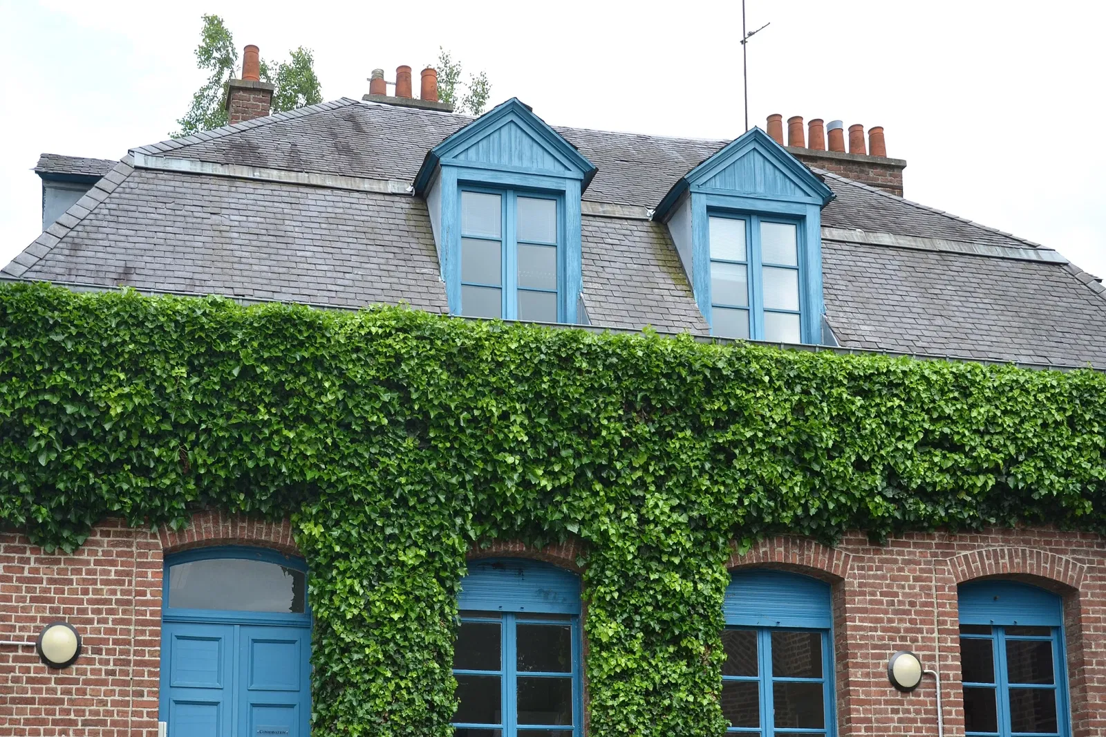 Musée de la Chartreuse