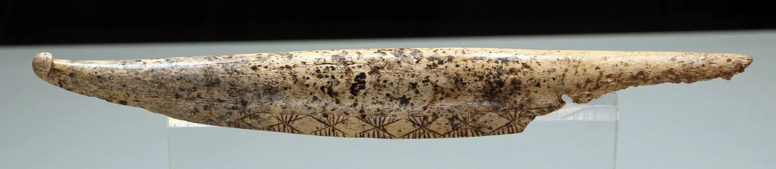 Musée archéologique national d'Altamura