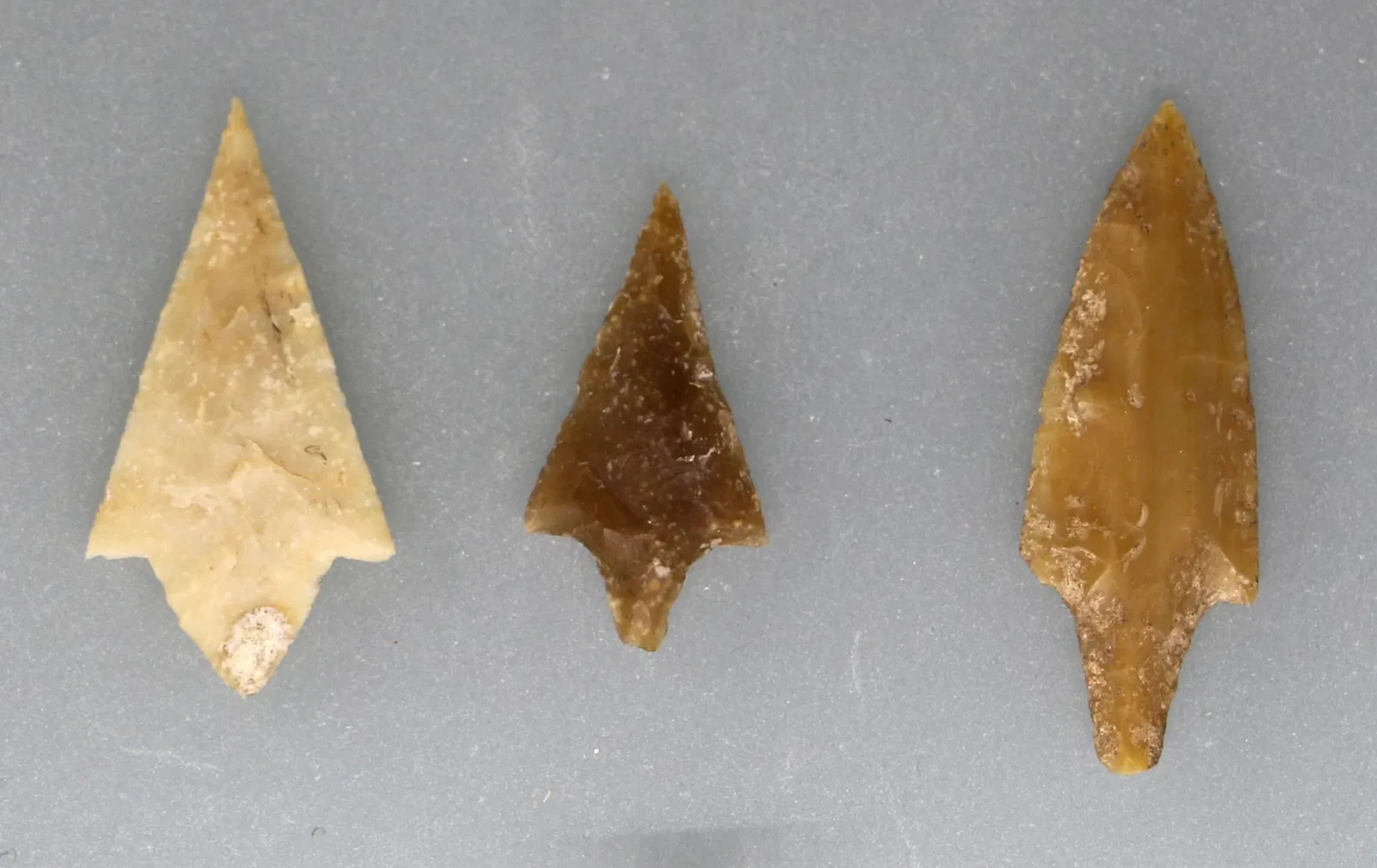 Musée archéologique national d'Altamura