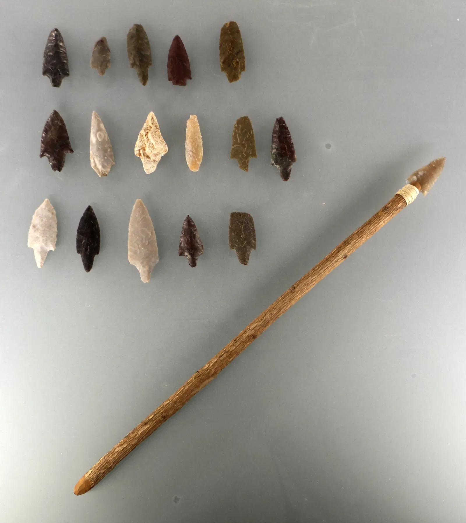 Museo Nazionale Archeologico di Altamura