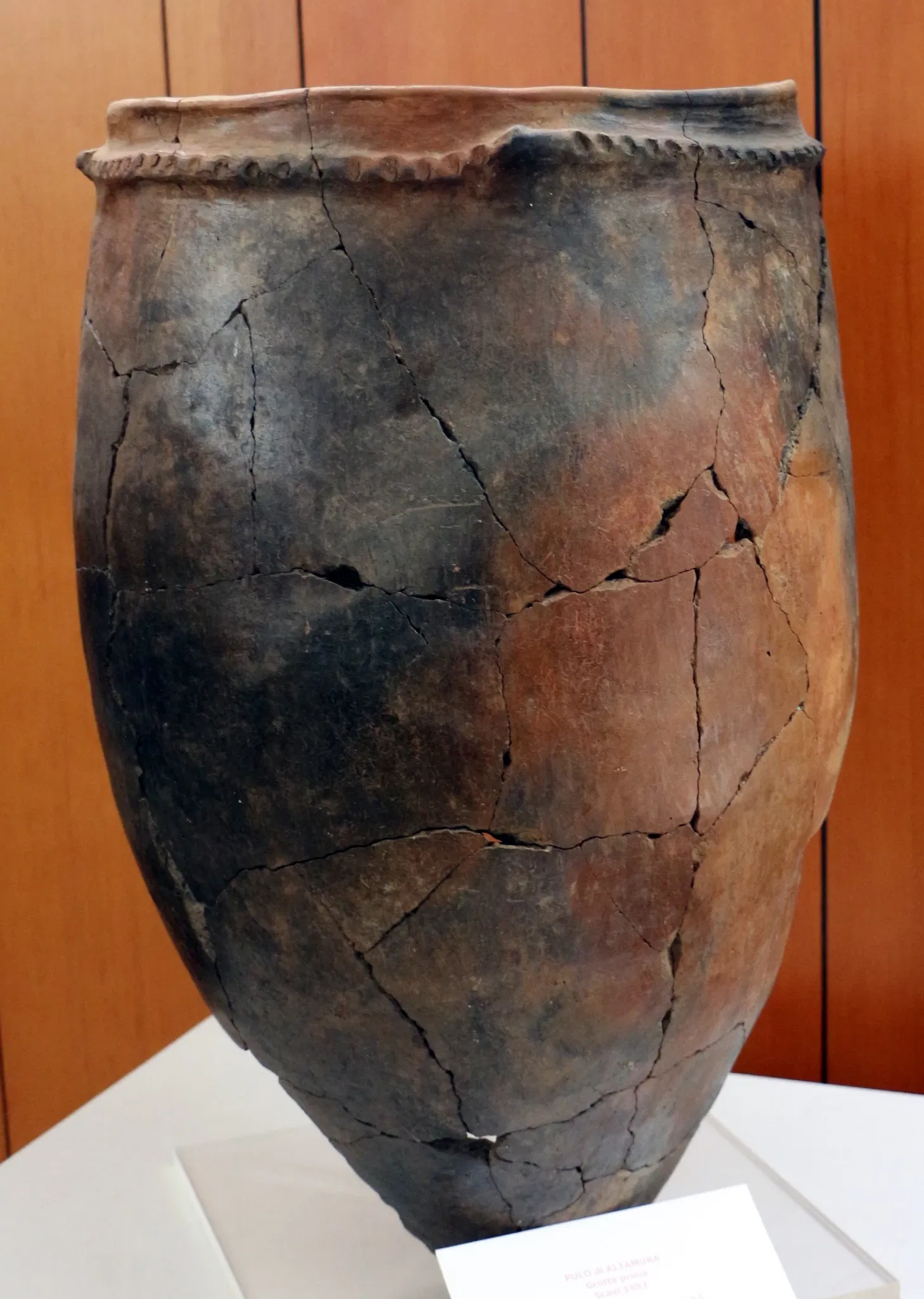 Museo Nazionale Archeologico di Altamura