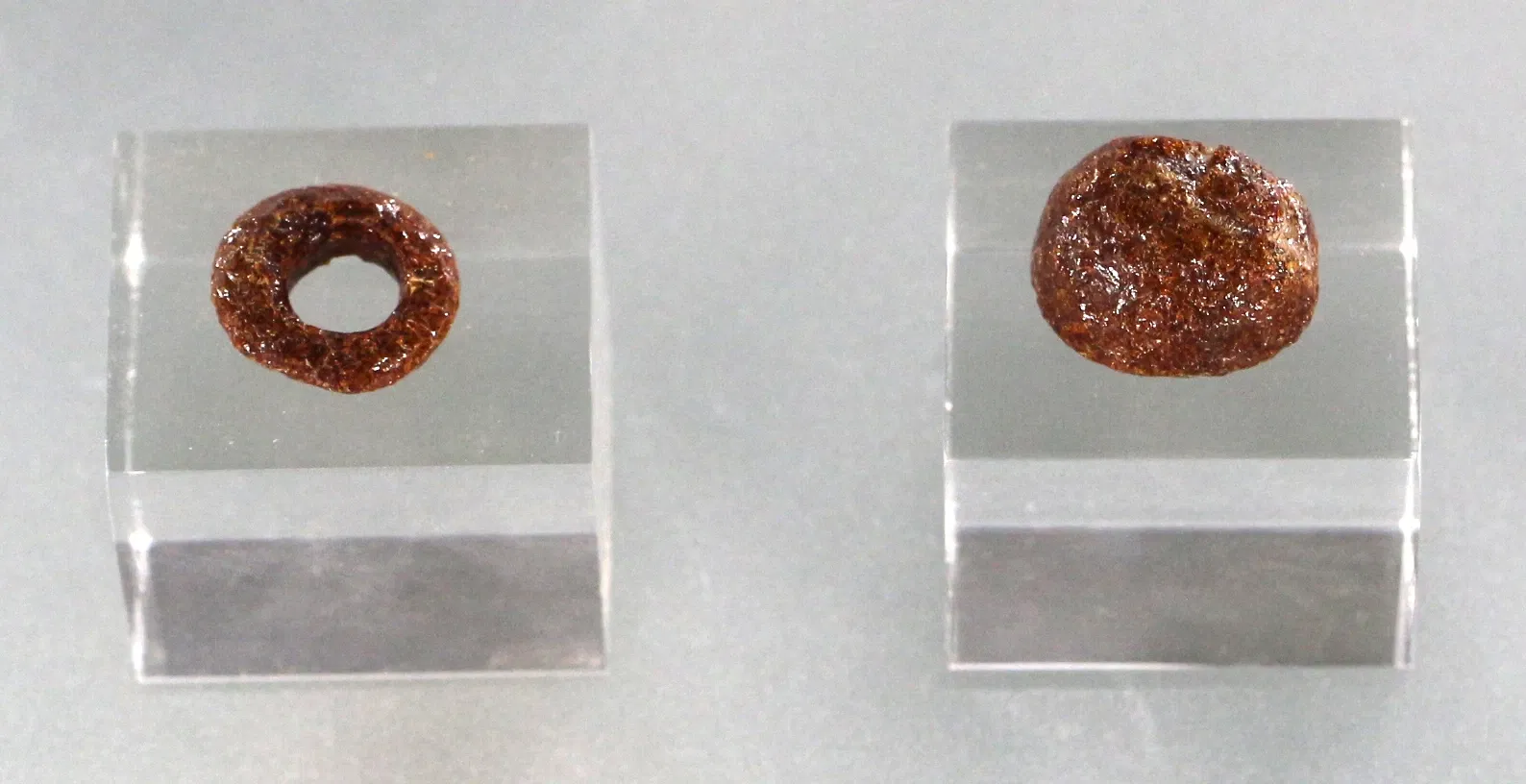 Museo Nazionale Archeologico di Altamura