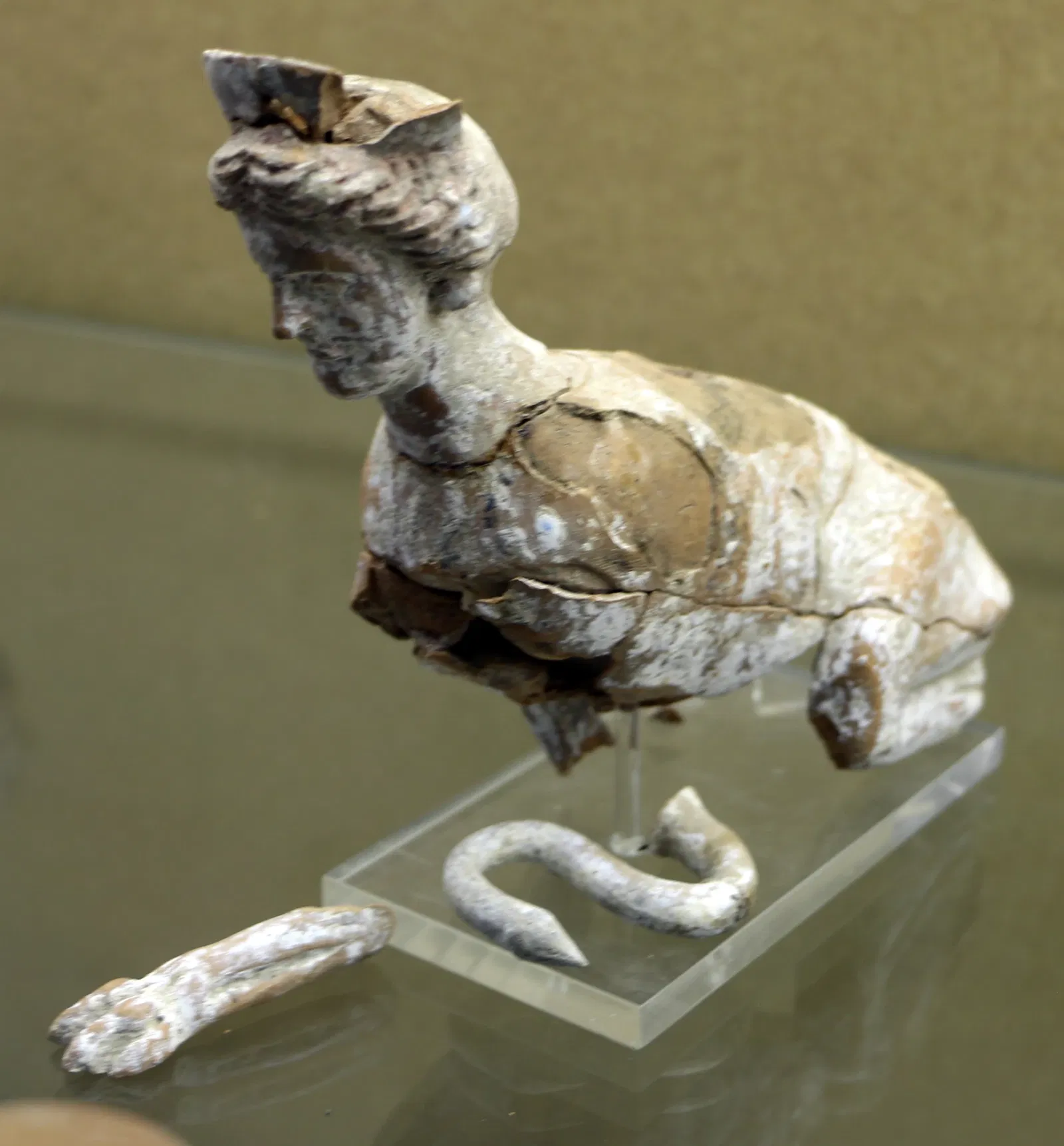 Museo Nazionale Archeologico di Altamura