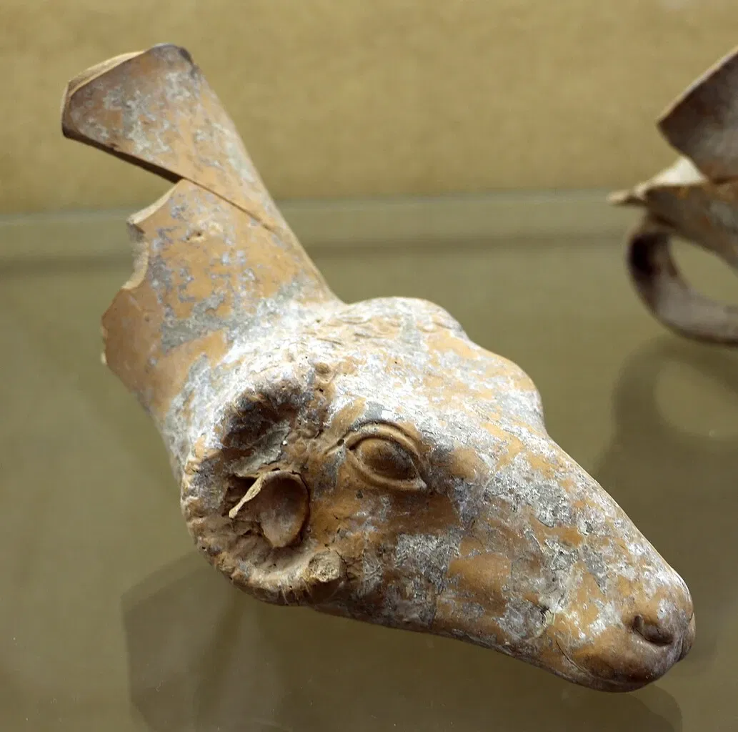 Musée archéologique national d'Altamura