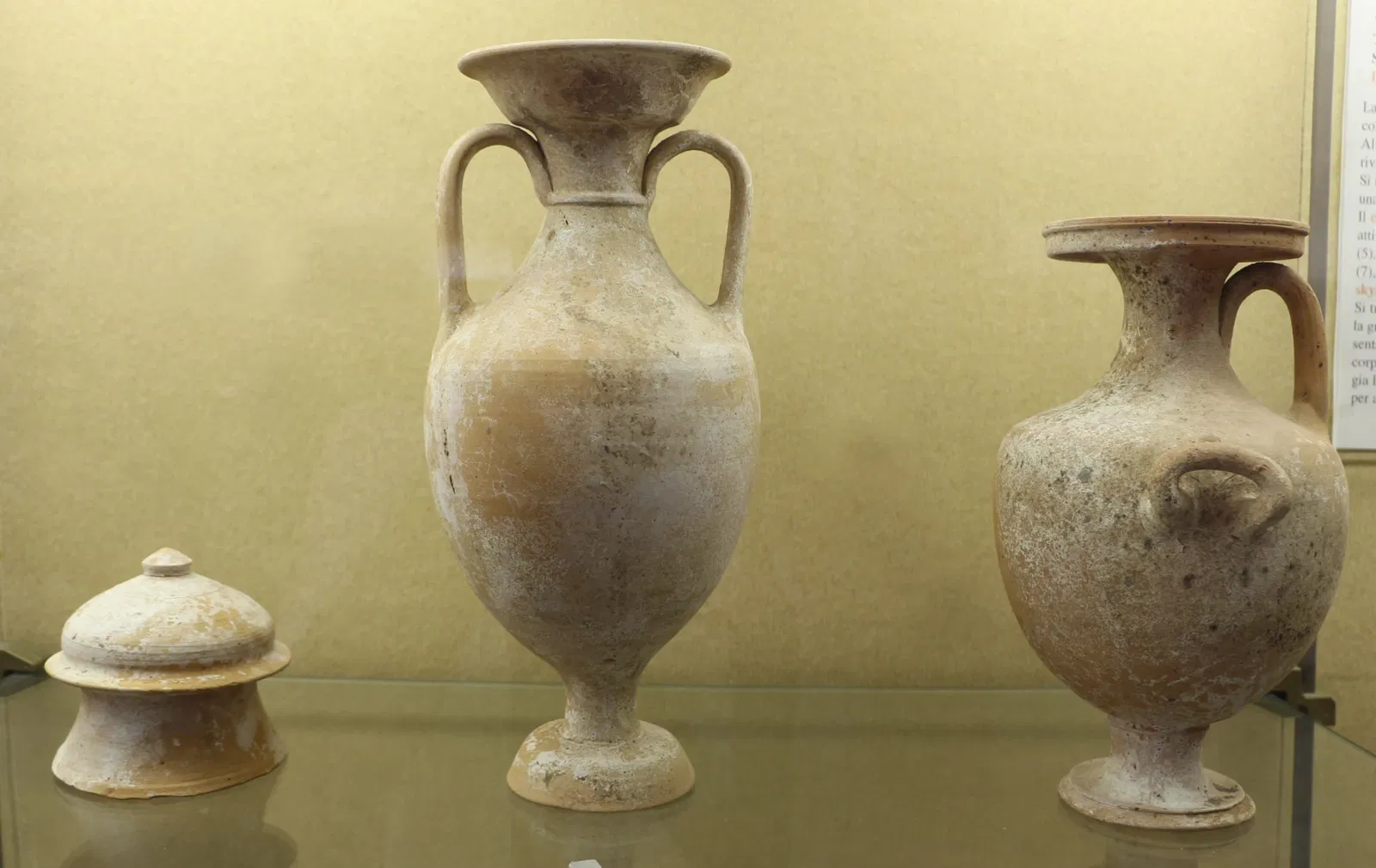 Museo Nazionale Archeologico di Altamura