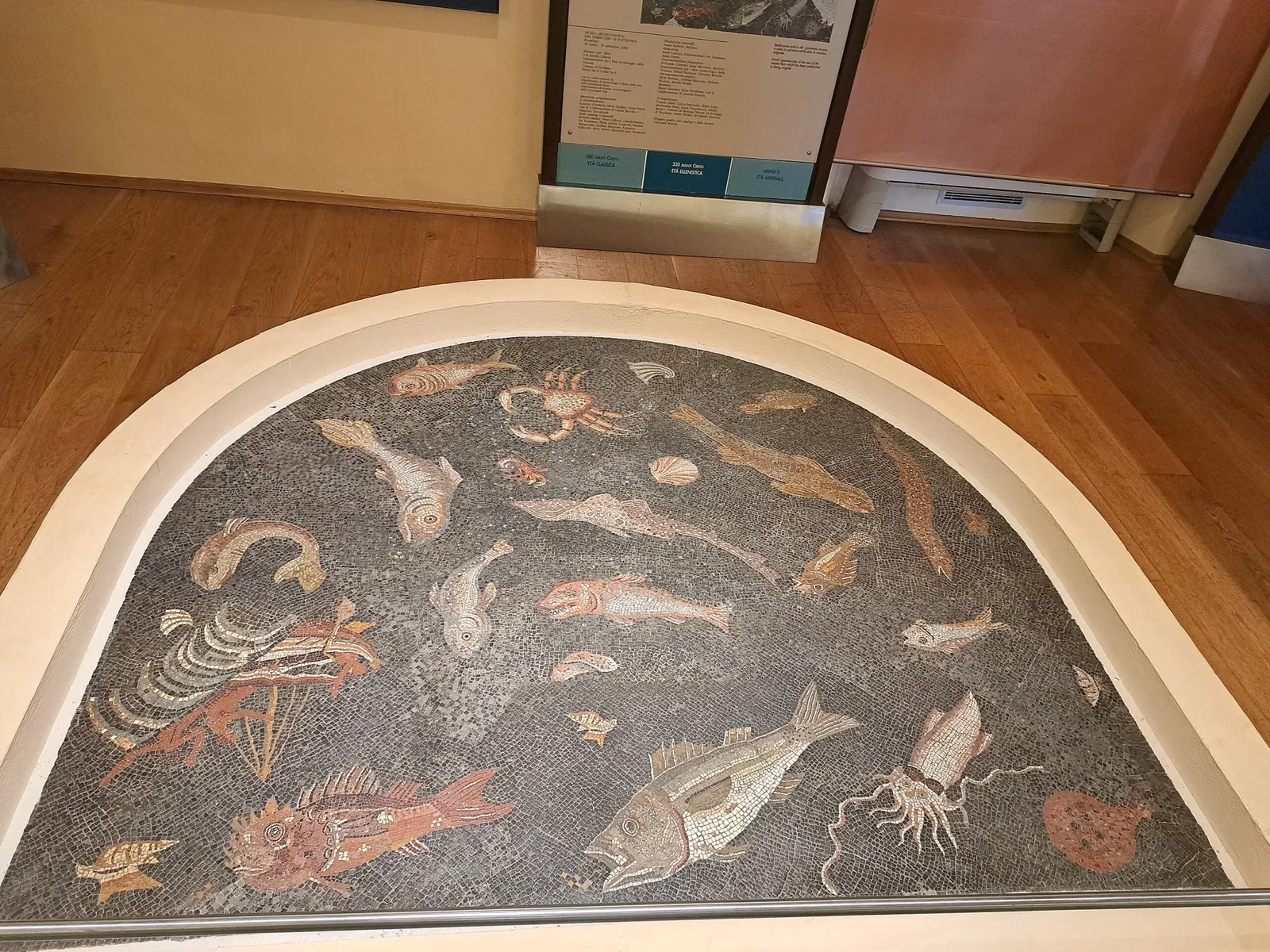 Musée archéologique du territoire de Populonia