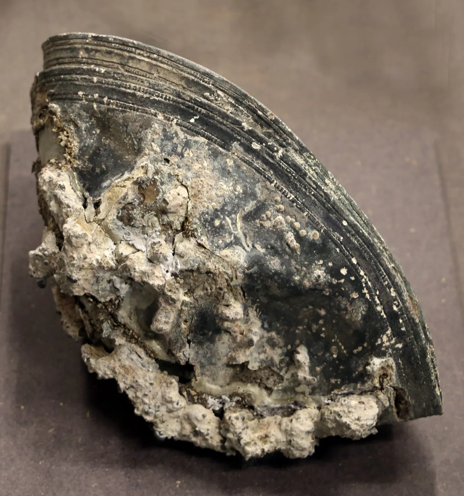 Museo archeologico del Territorio di Populonia