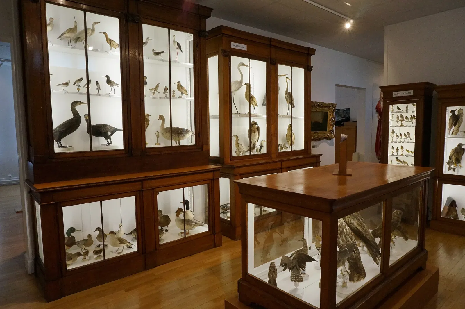 Musée de Saint-Dizier