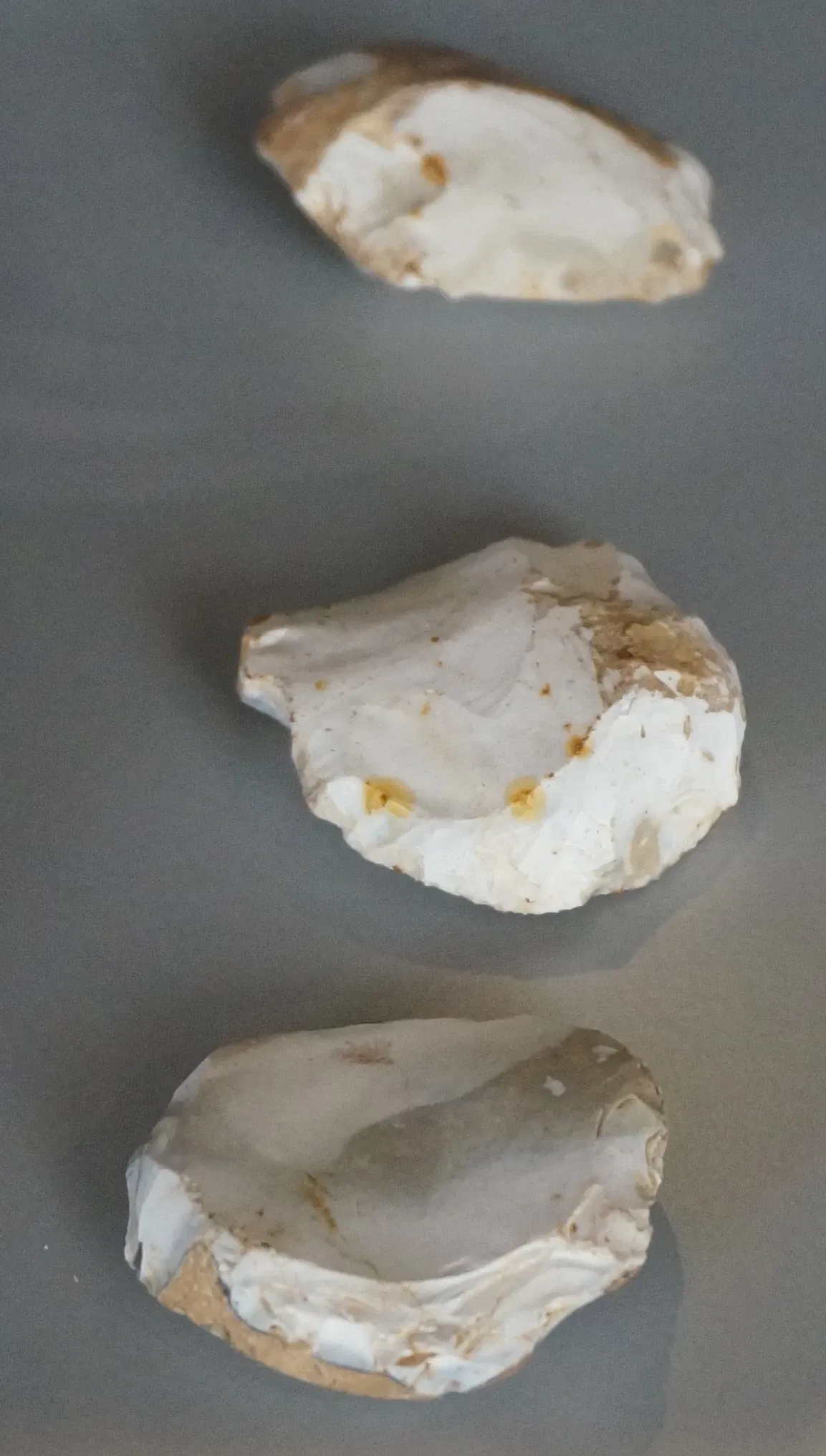 Musée de Saint-Dizier