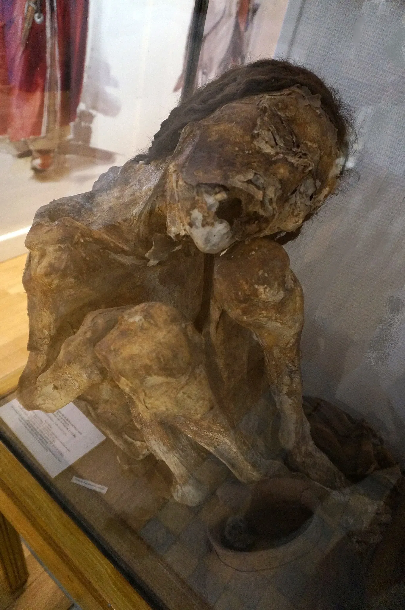 Musée de Saint-Dizier