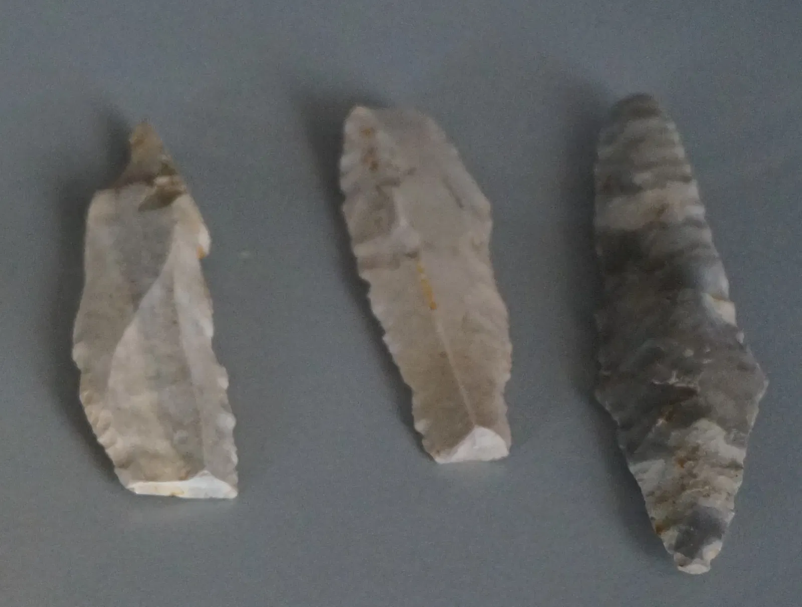 Musée de Saint-Dizier