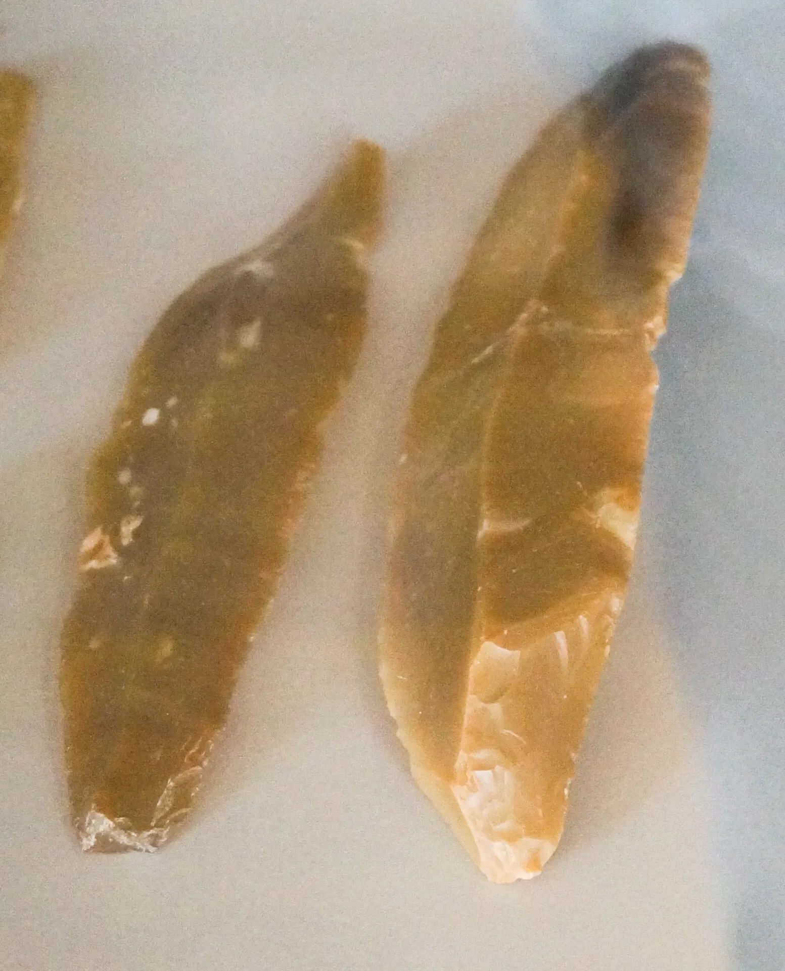 Musée de Saint-Dizier