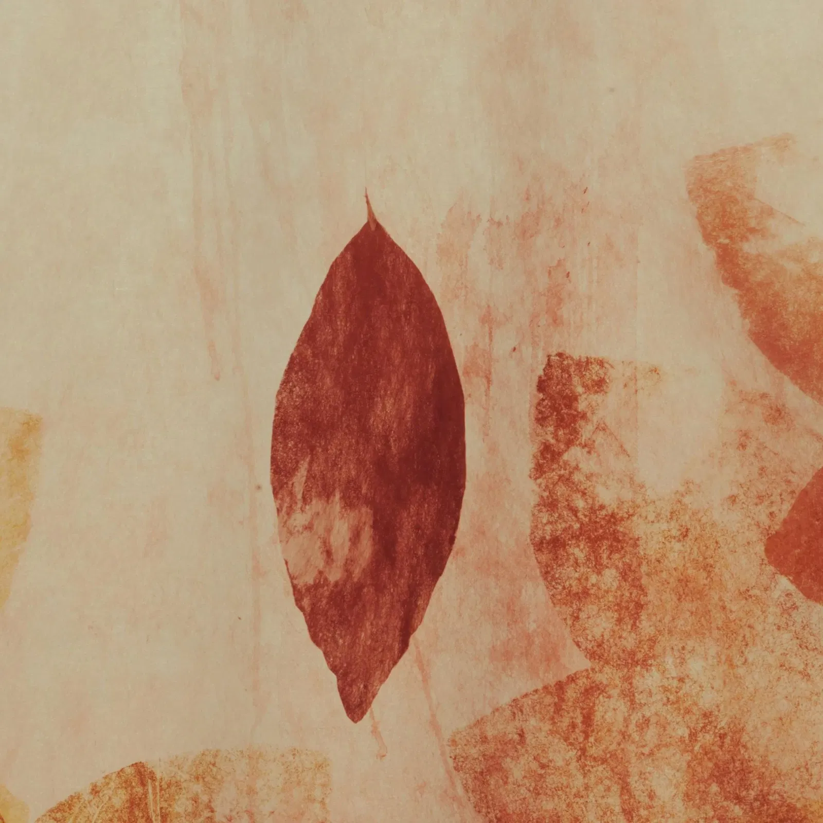 Regina Saura & Rita Roqueta : Dialogues avec la nature