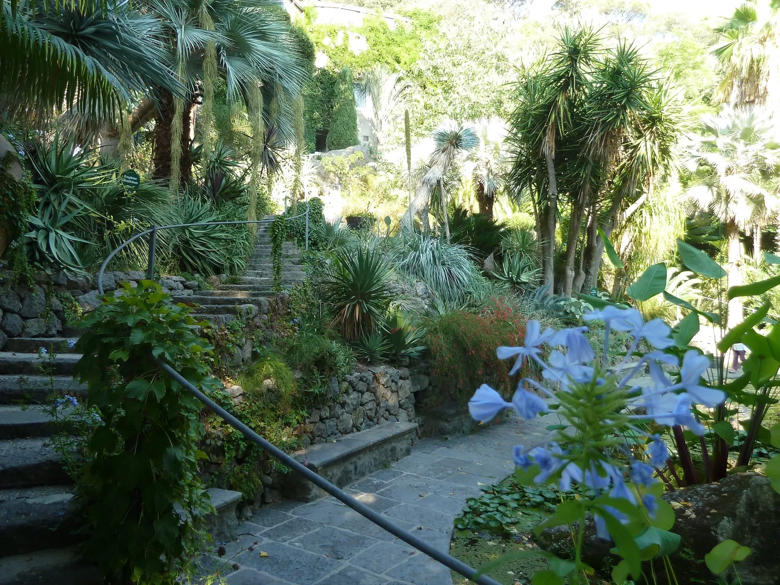 Giardini La Mortella - Fondazione William Walton