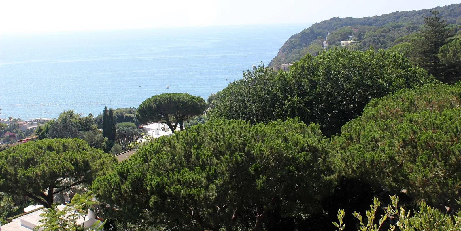 Giardini La Mortella - Fondazione William Walton