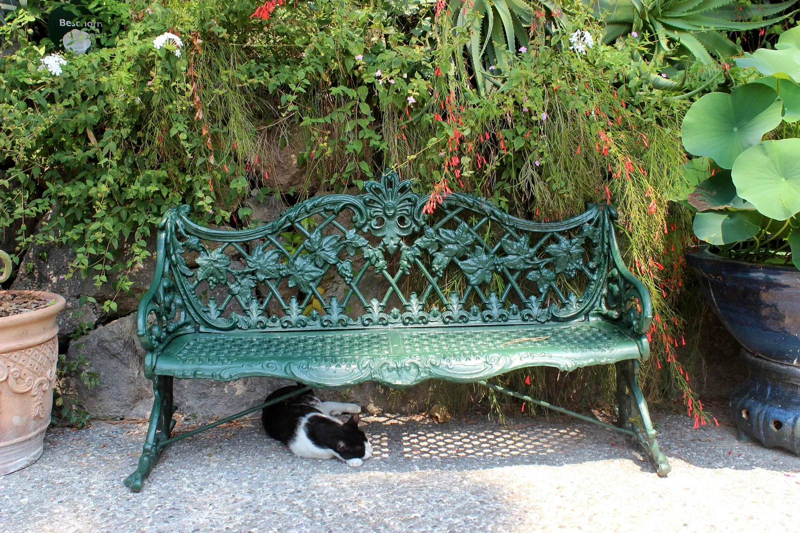 Giardini La Mortella - Fondazione William Walton