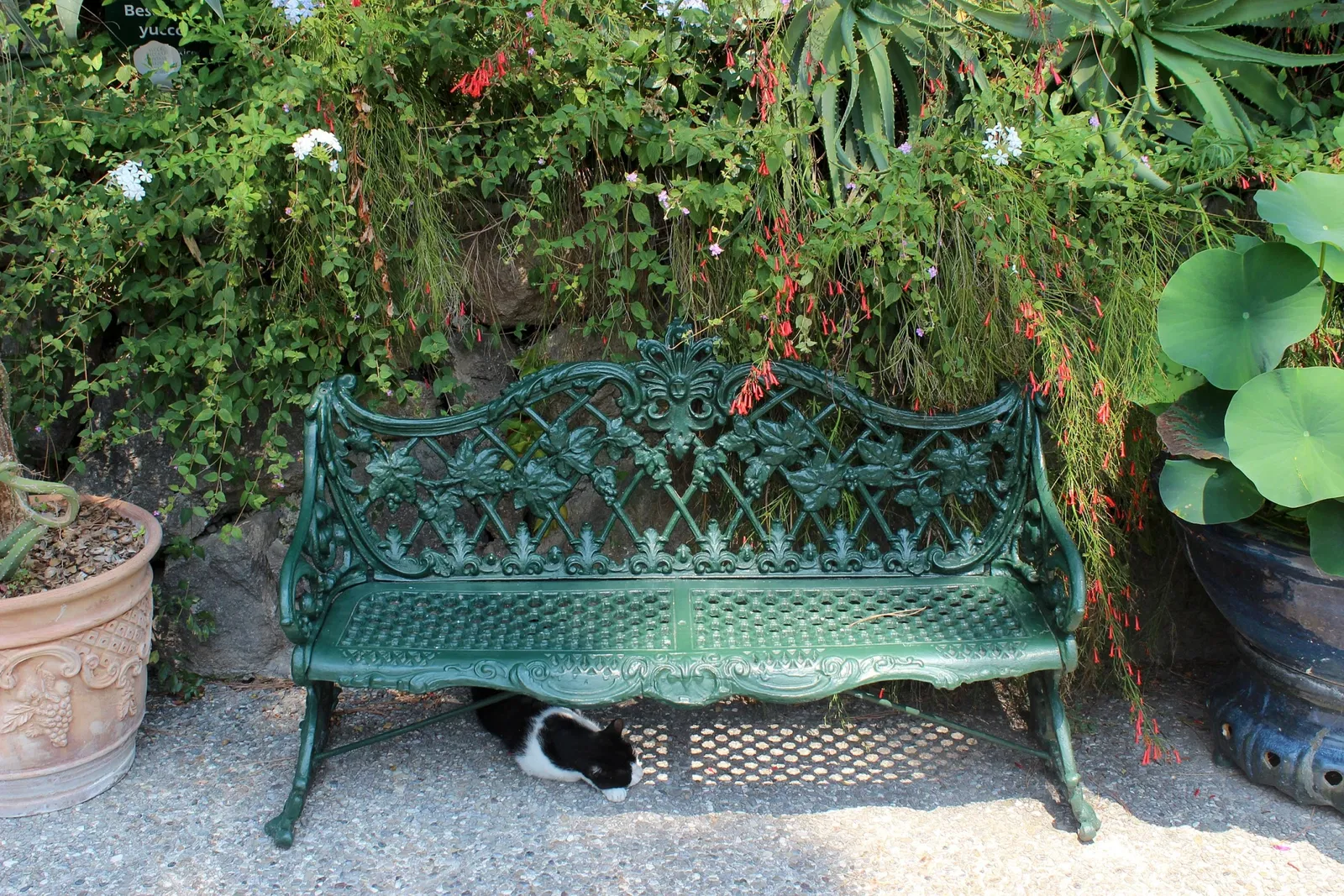 Giardini La Mortella - Fondazione William Walton