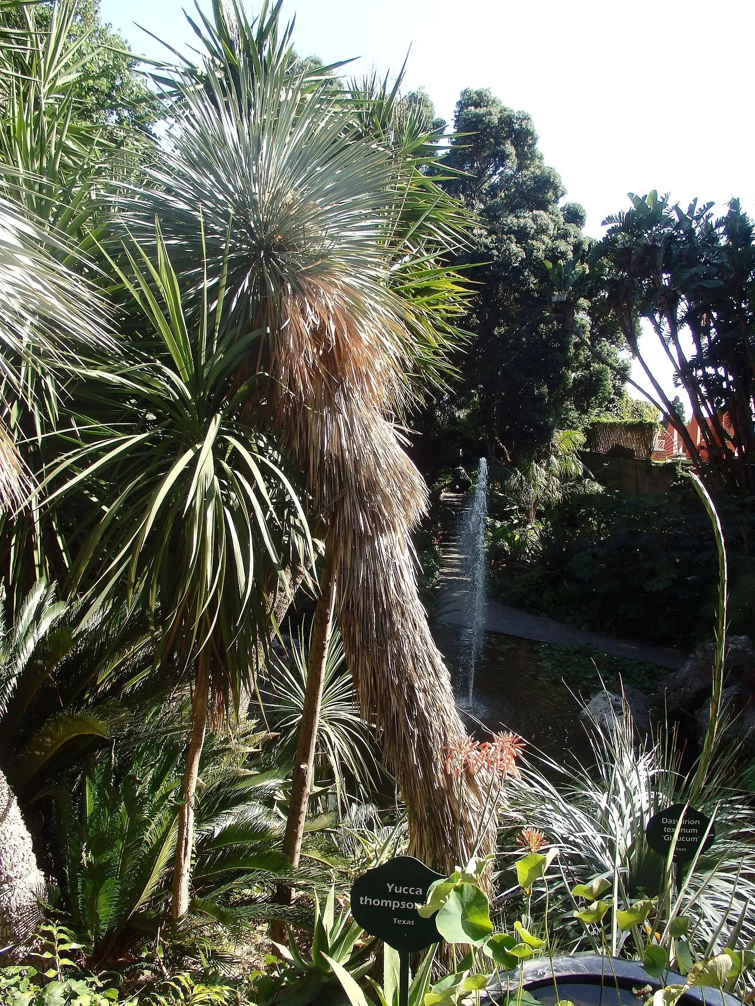 Giardini La Mortella - Fondazione William Walton