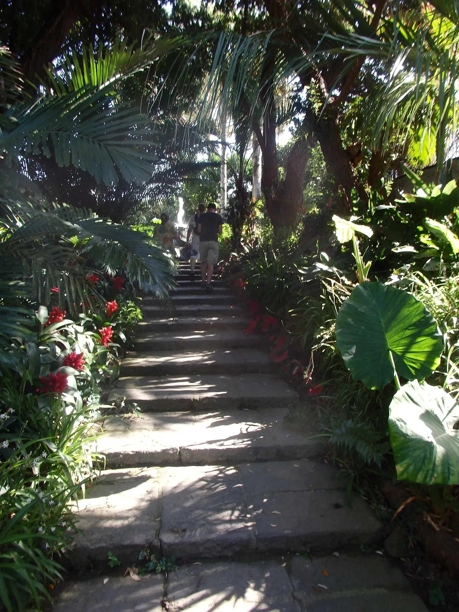 Giardini La Mortella - Fondazione William Walton