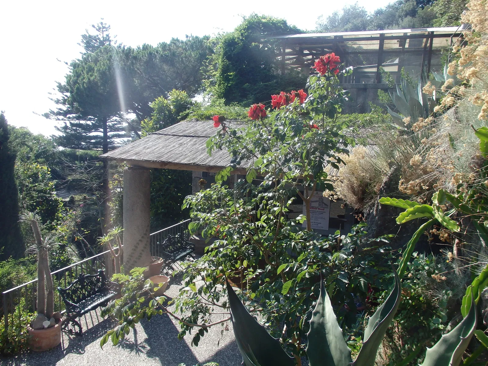 Giardini La Mortella - Fondazione William Walton