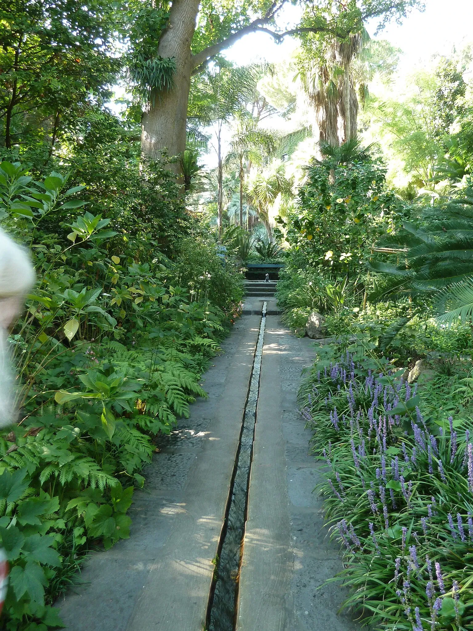 Giardini La Mortella - Fondazione William Walton