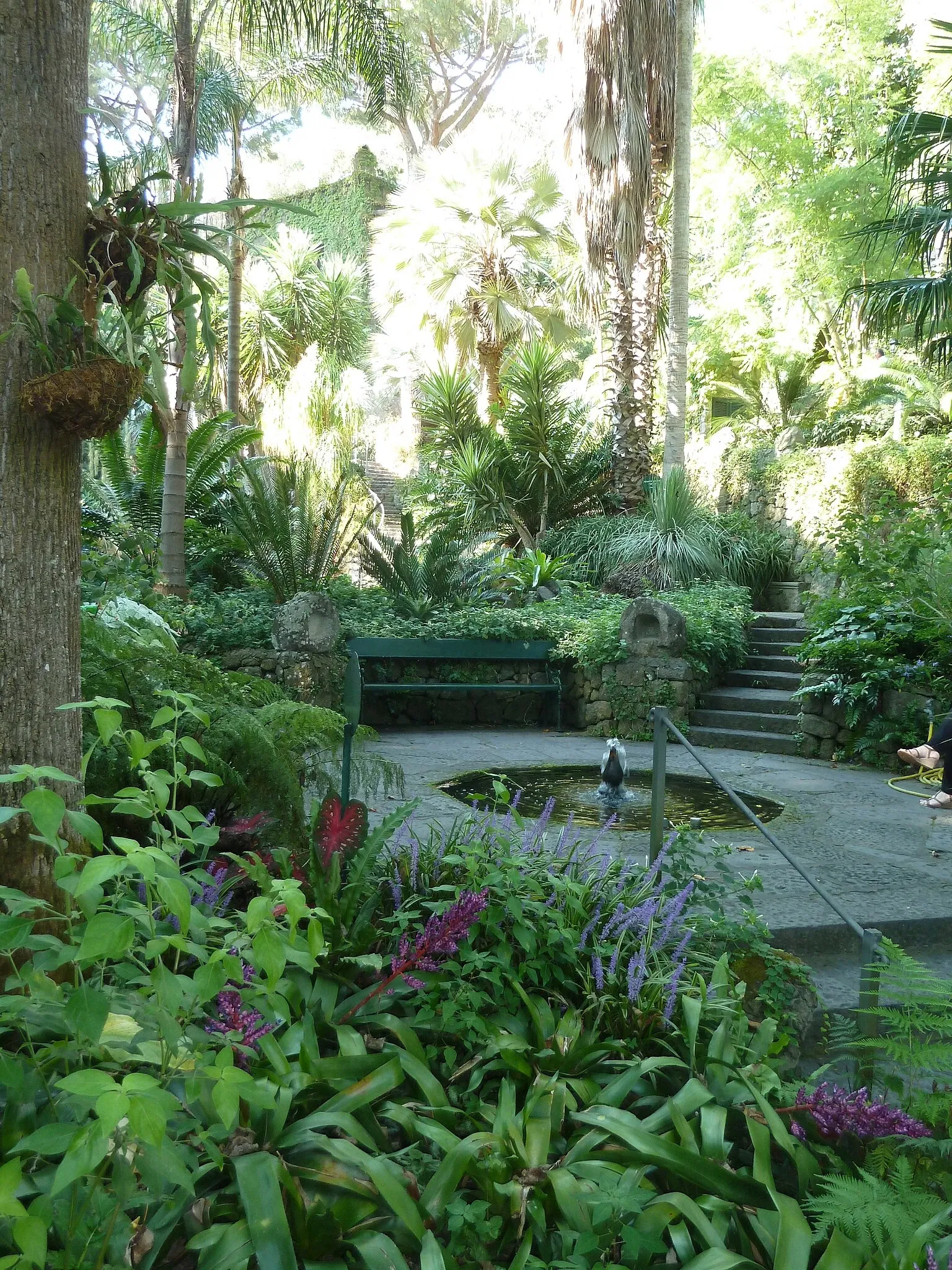 Giardini La Mortella - Fondazione William Walton