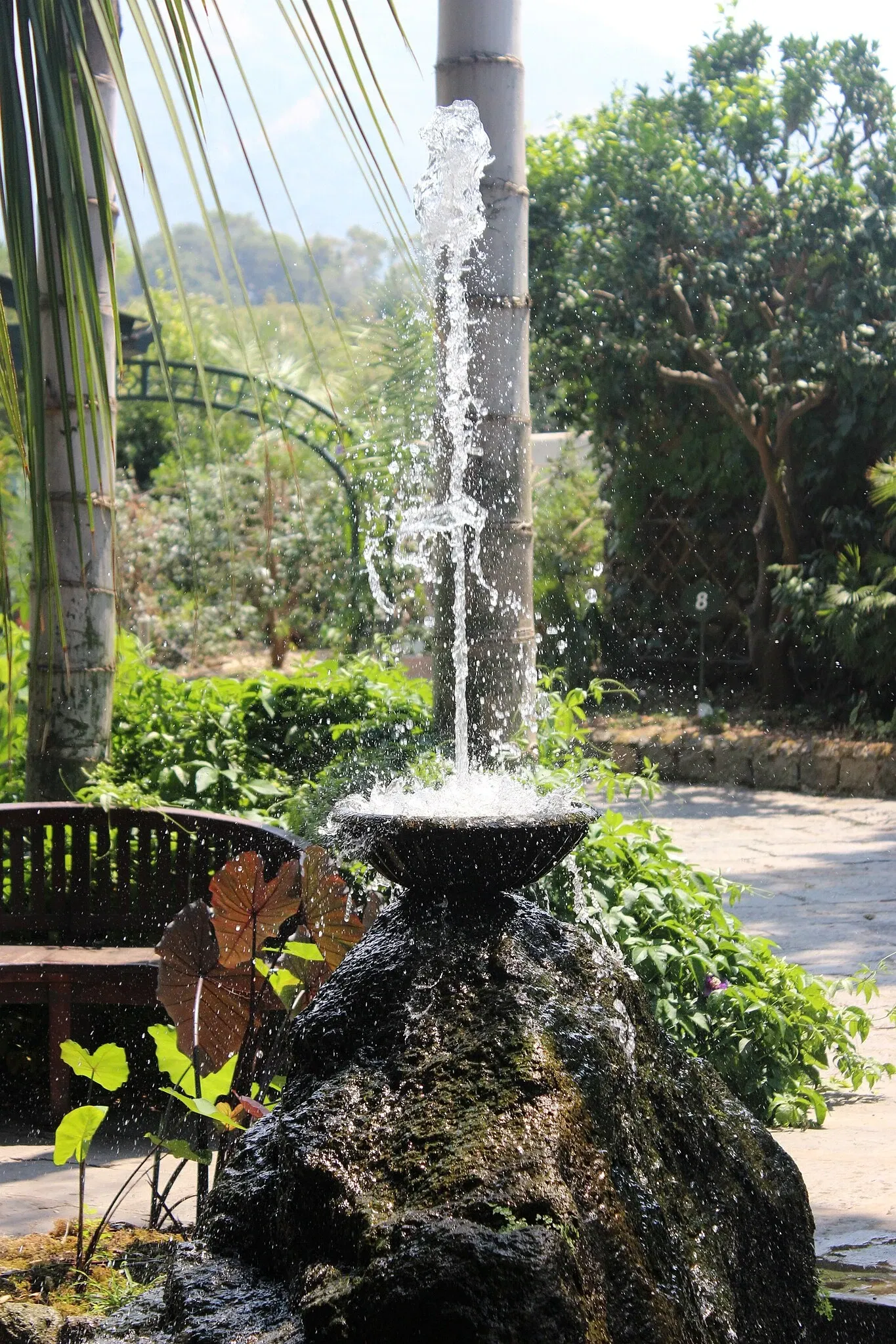 Giardini La Mortella - Fondazione William Walton