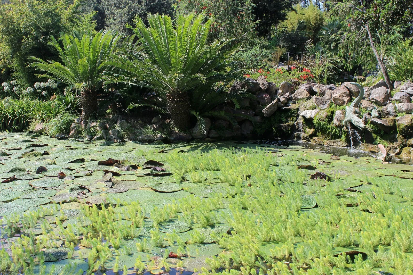 Giardini La Mortella - Fondazione William Walton